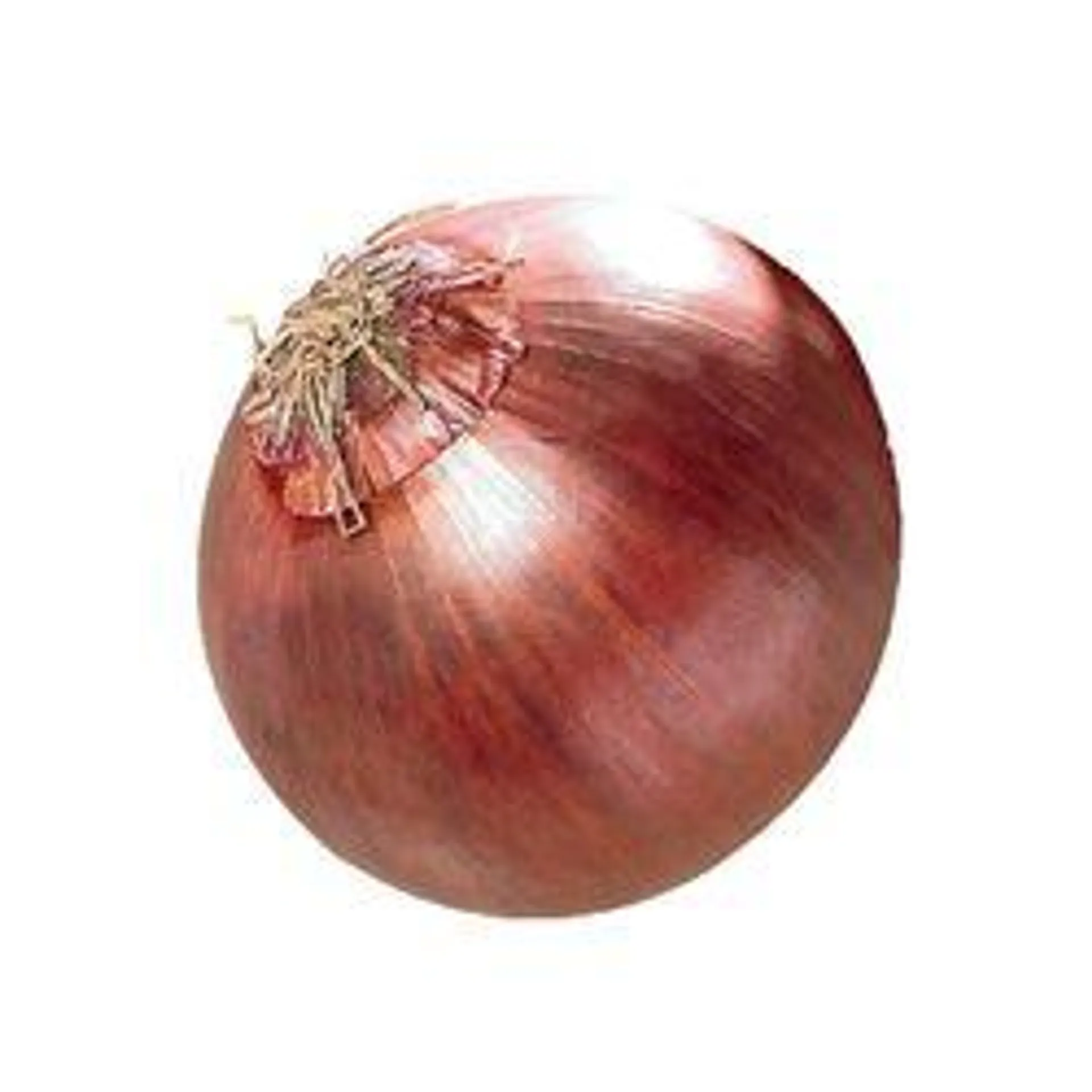 Red Onion