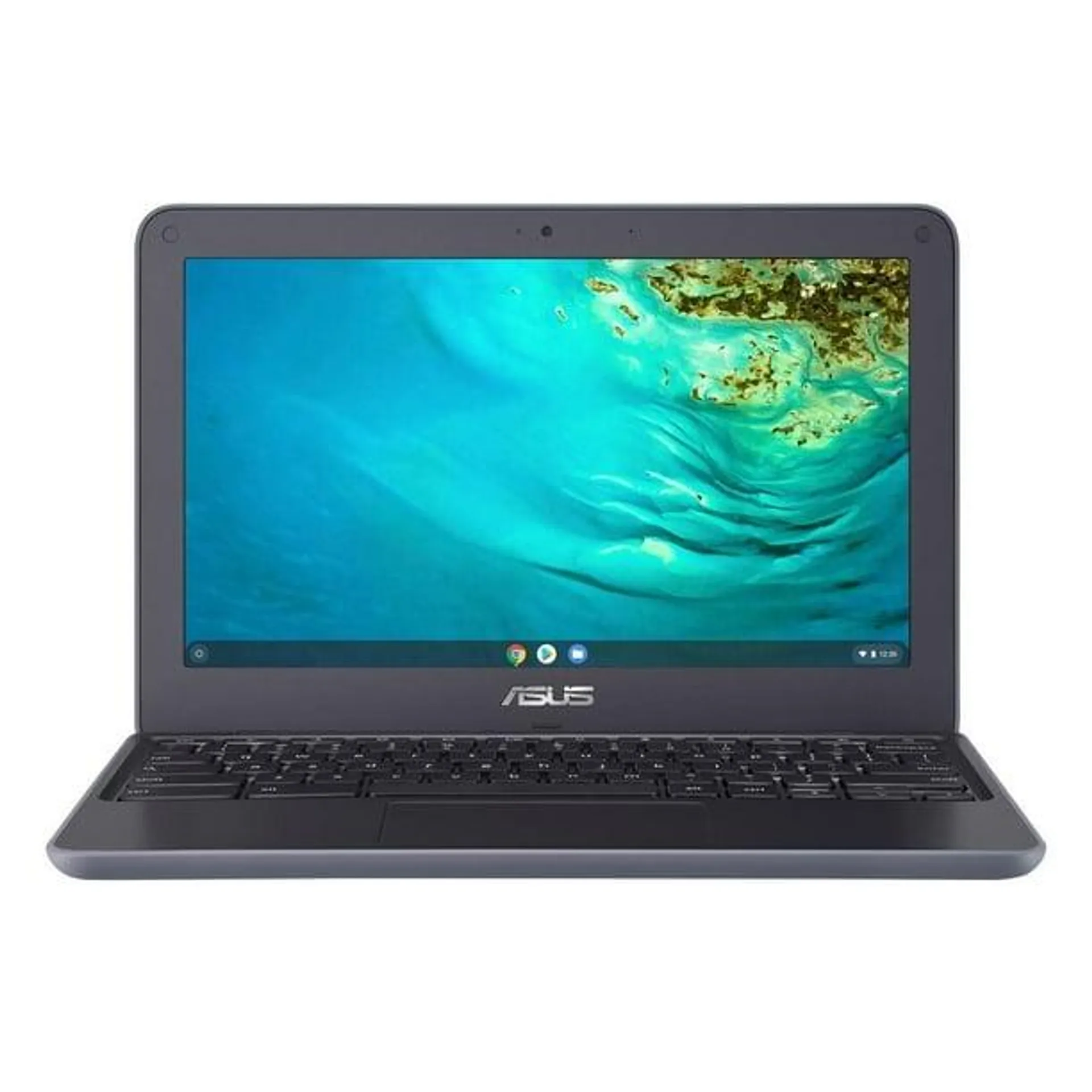 Asus Chromebook 11.6" Laptop MediaTek 8173C C202XA-DS01-CA