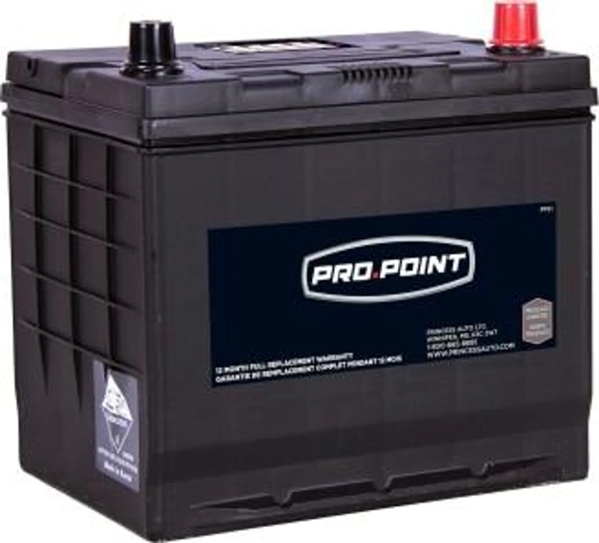 PROPOINT 35 Automotive/SUV/Light Truck Starting Battery