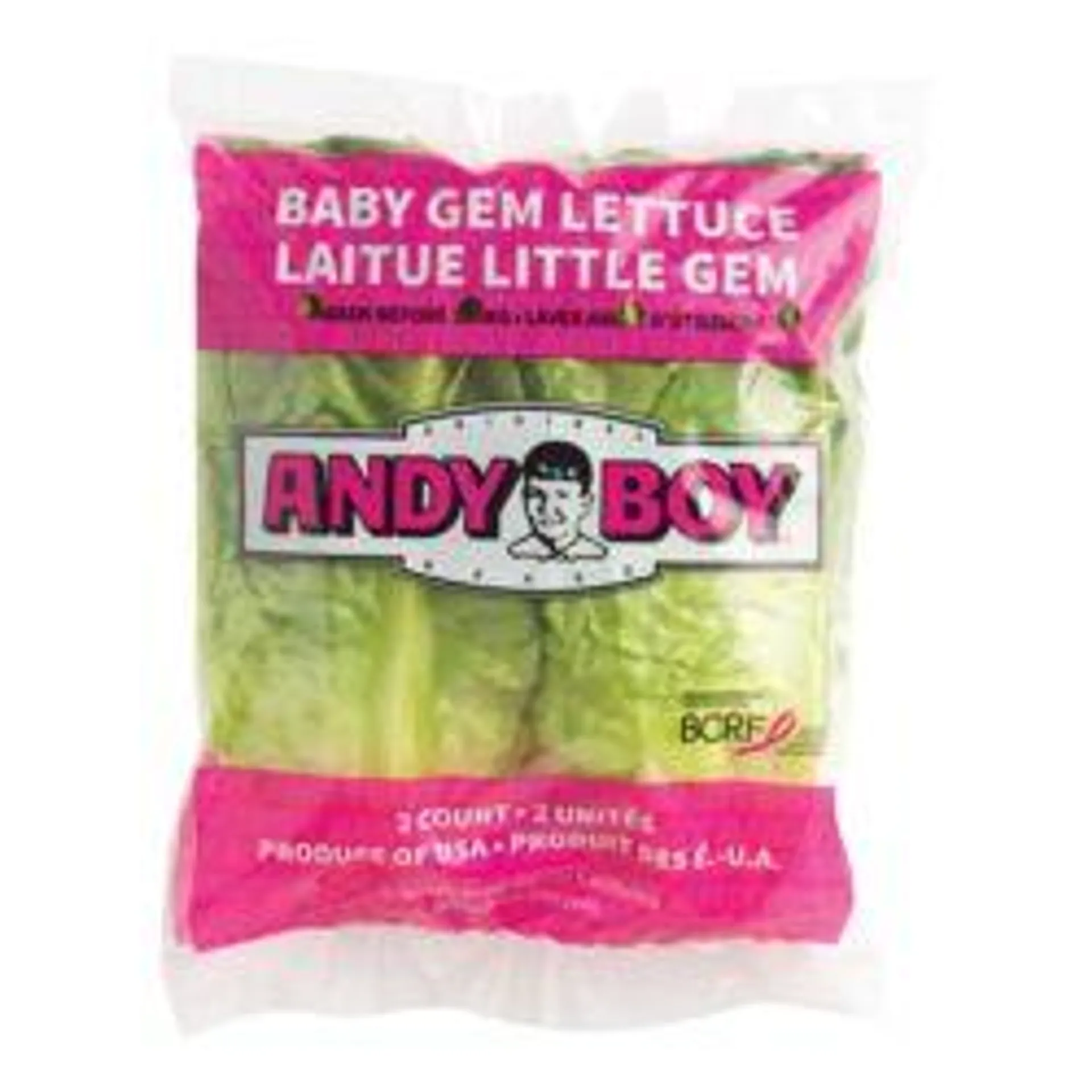 Little Gem Lettuce