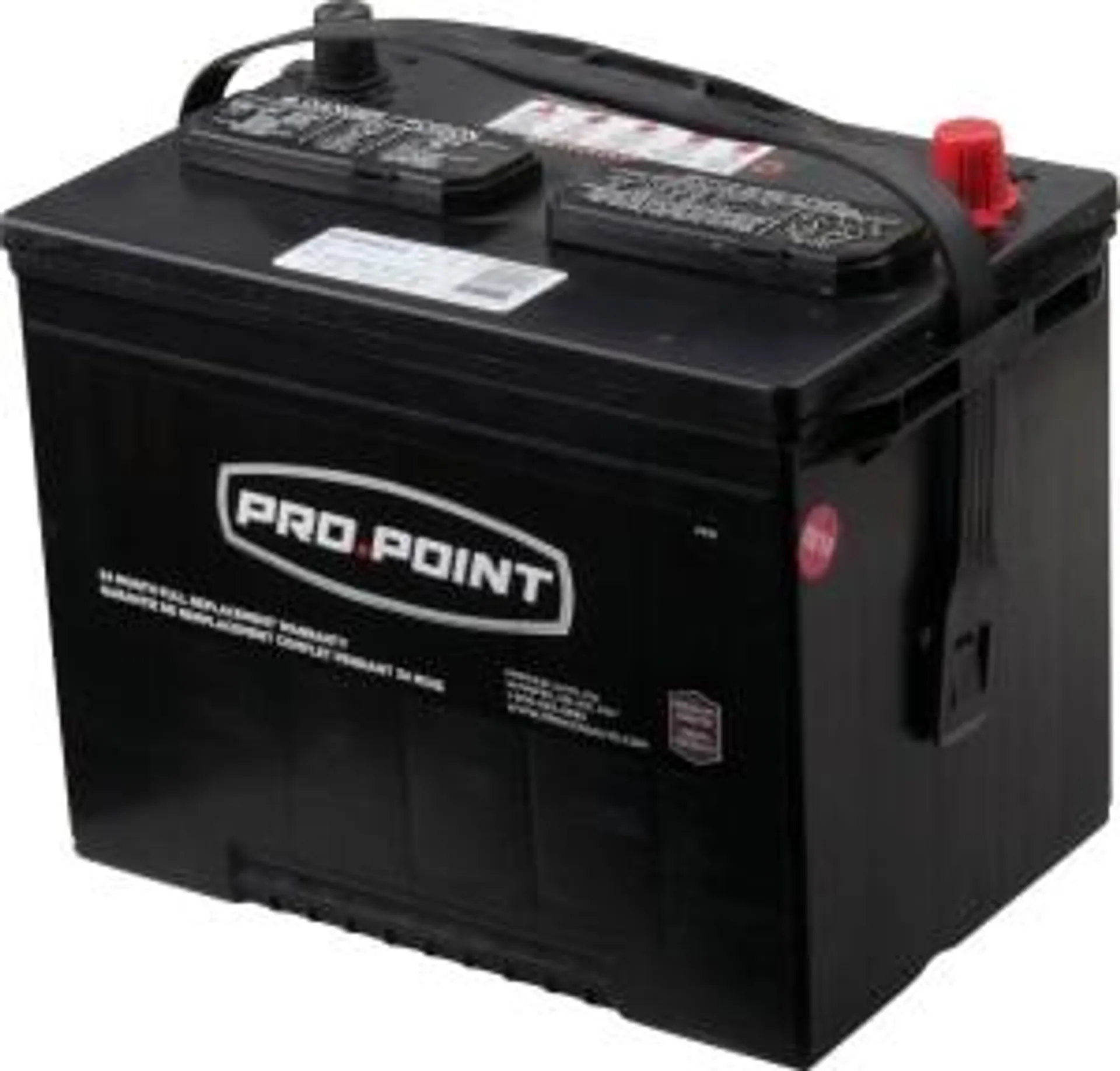 24 Automotive/SUV/Light Truck Starting Battery