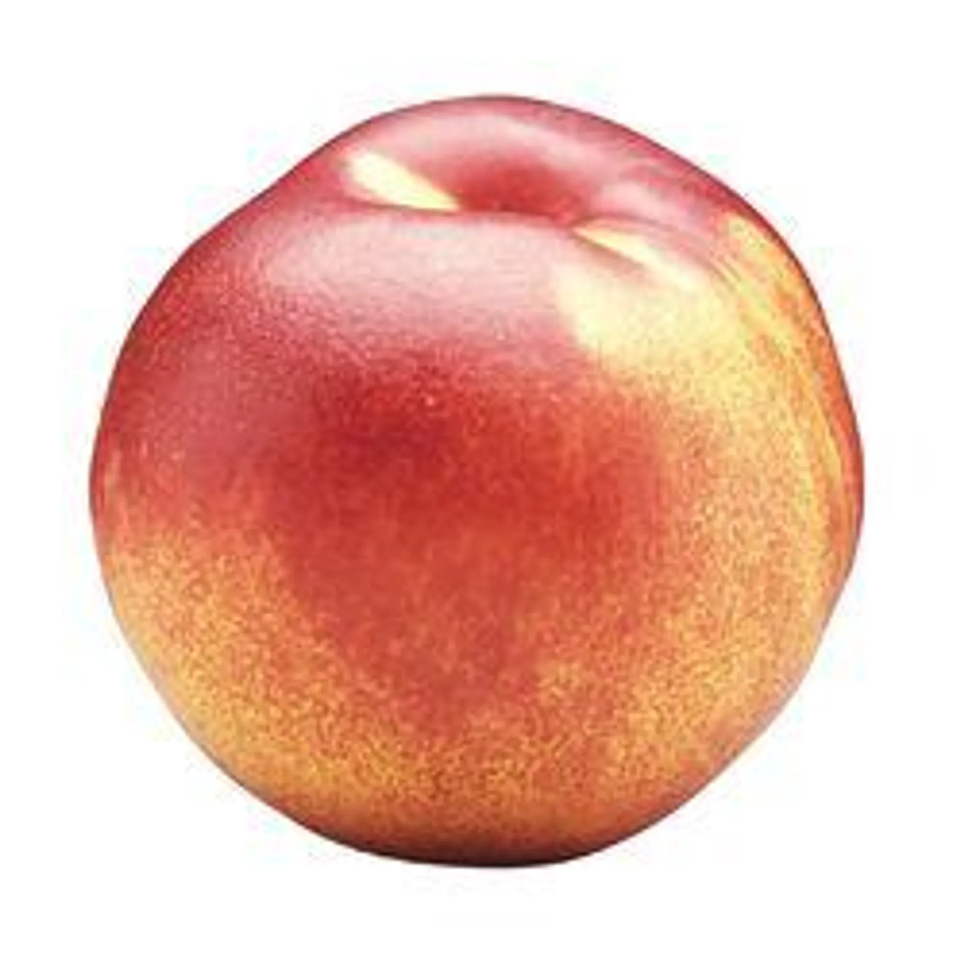 Large Nectarine