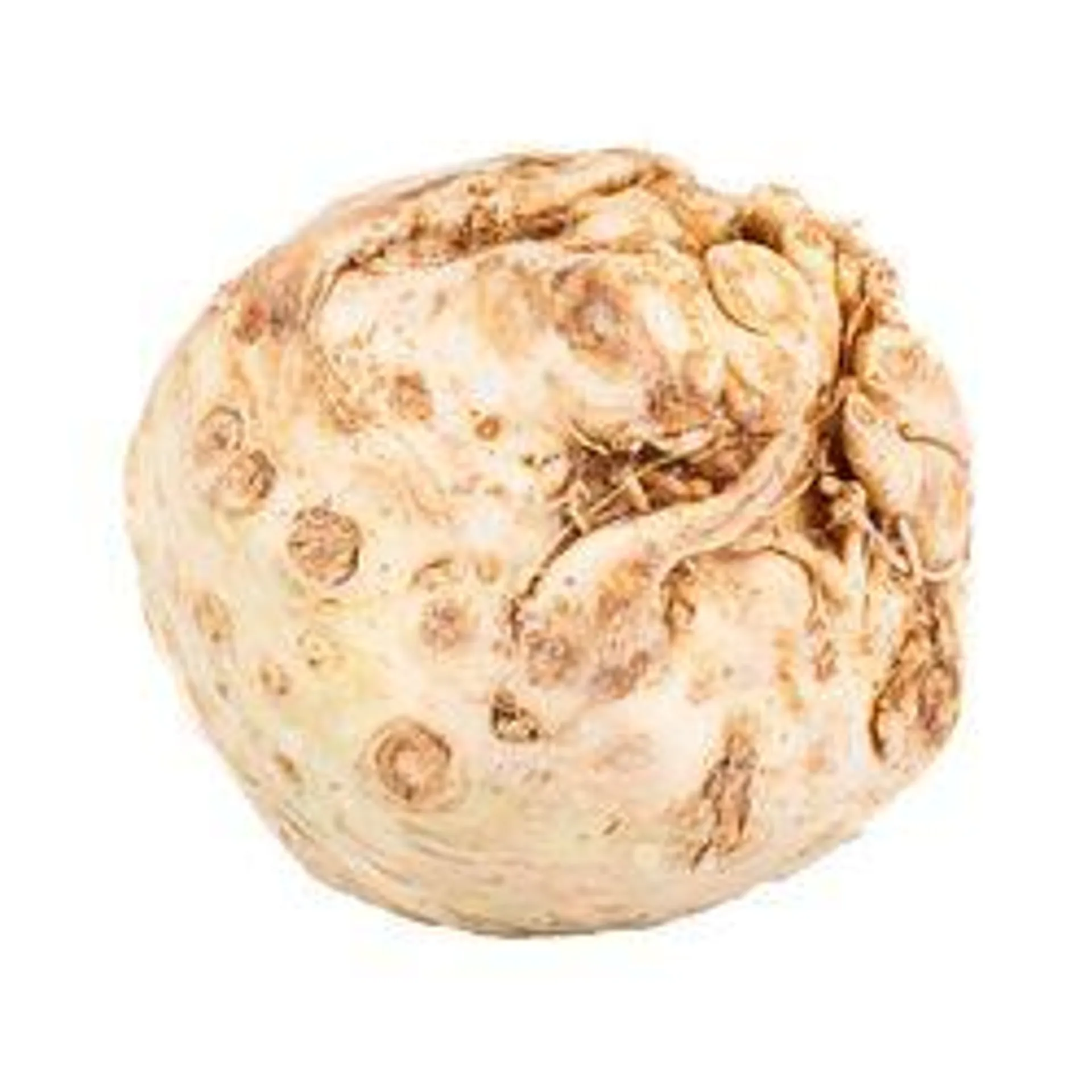 Celery Root