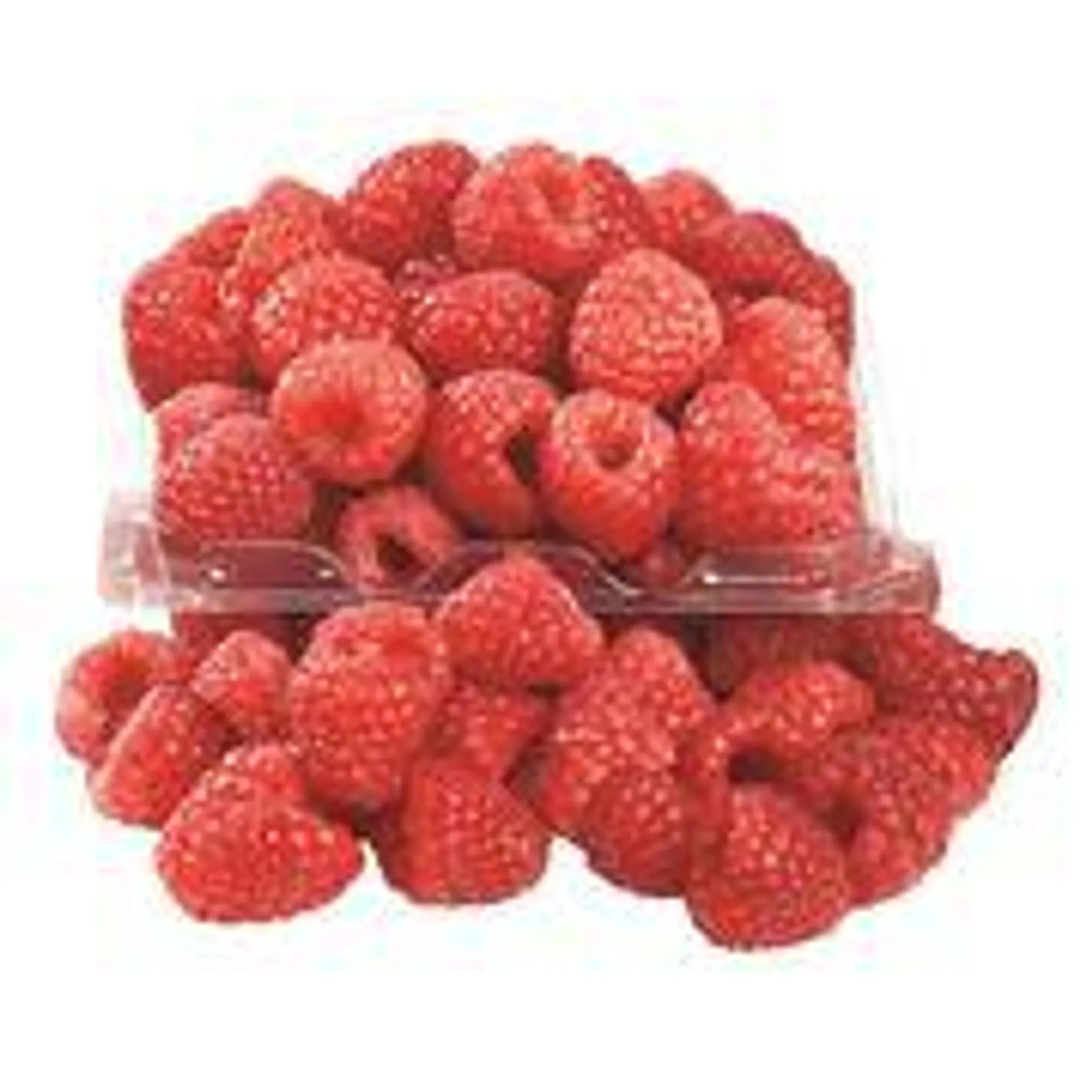 Organic Raspberries