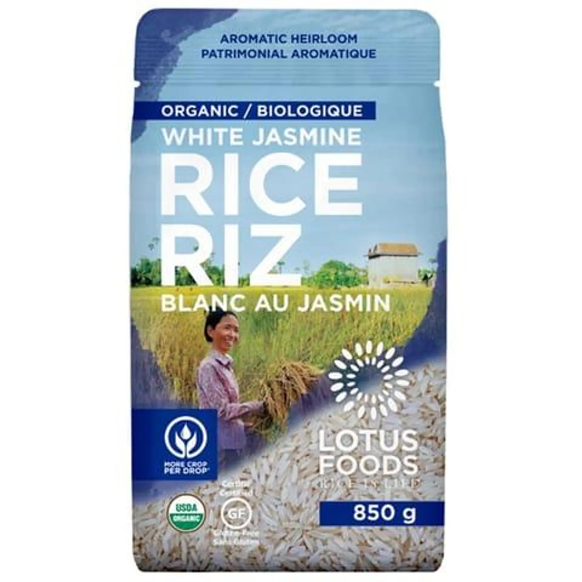 Riz biologique - Jasmin blanc