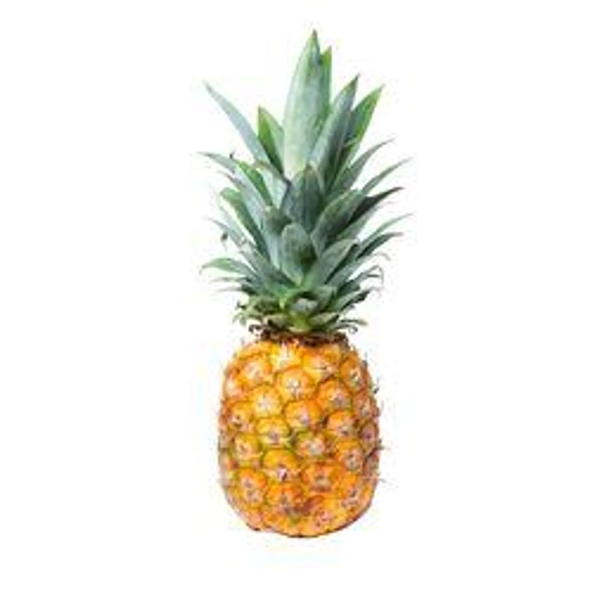 Organic Pineapple