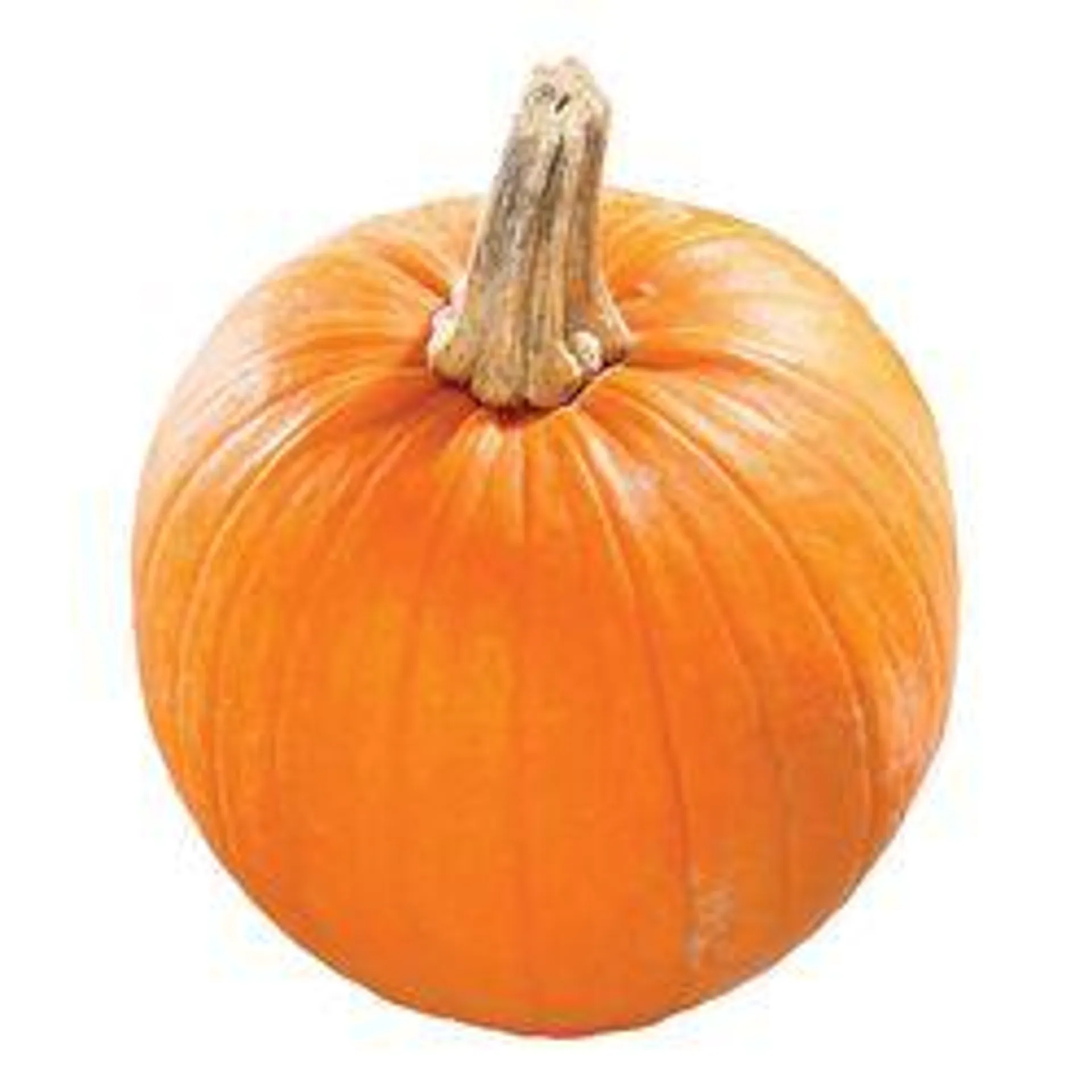 Small pumpkin