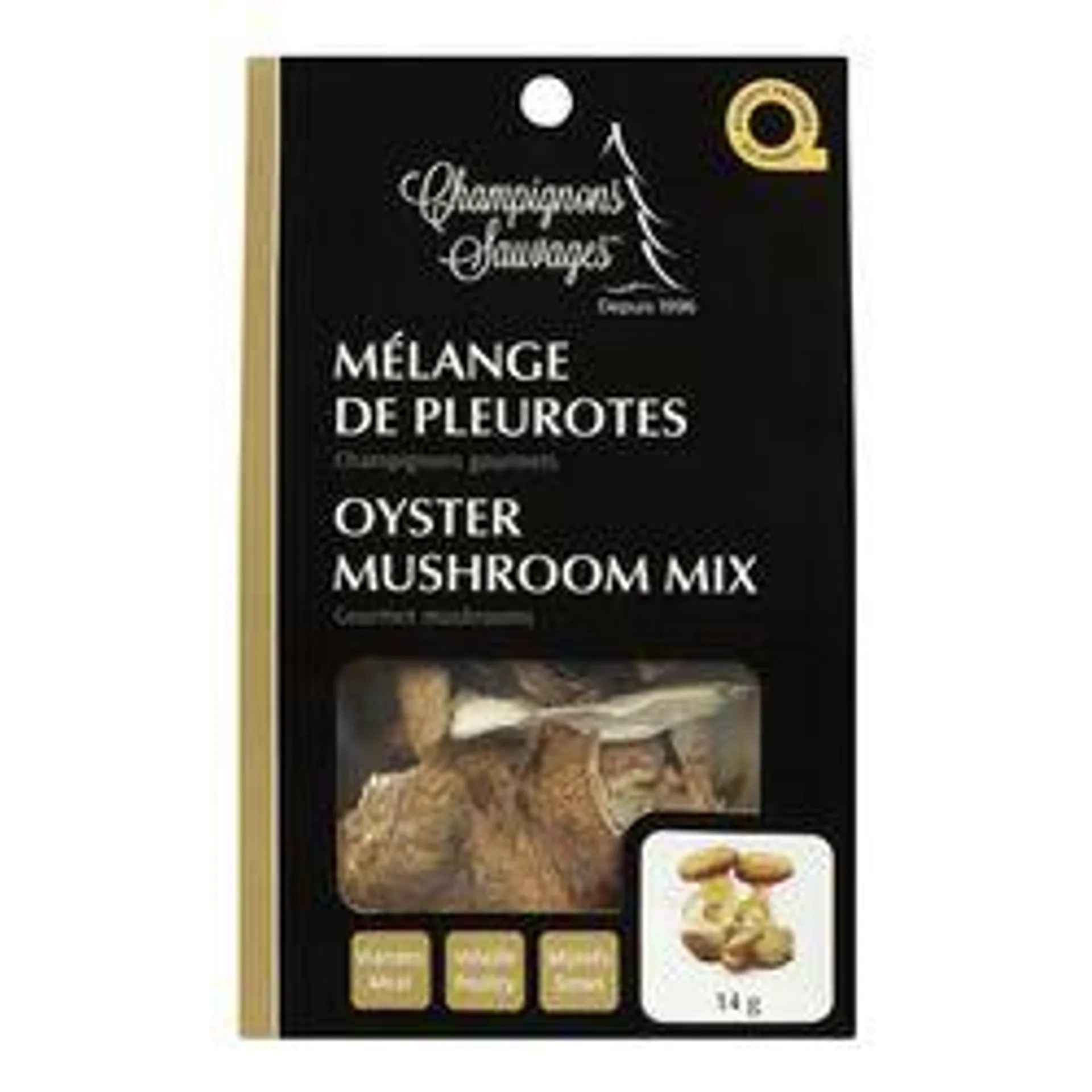 Dried Oyster Mushroom Mix