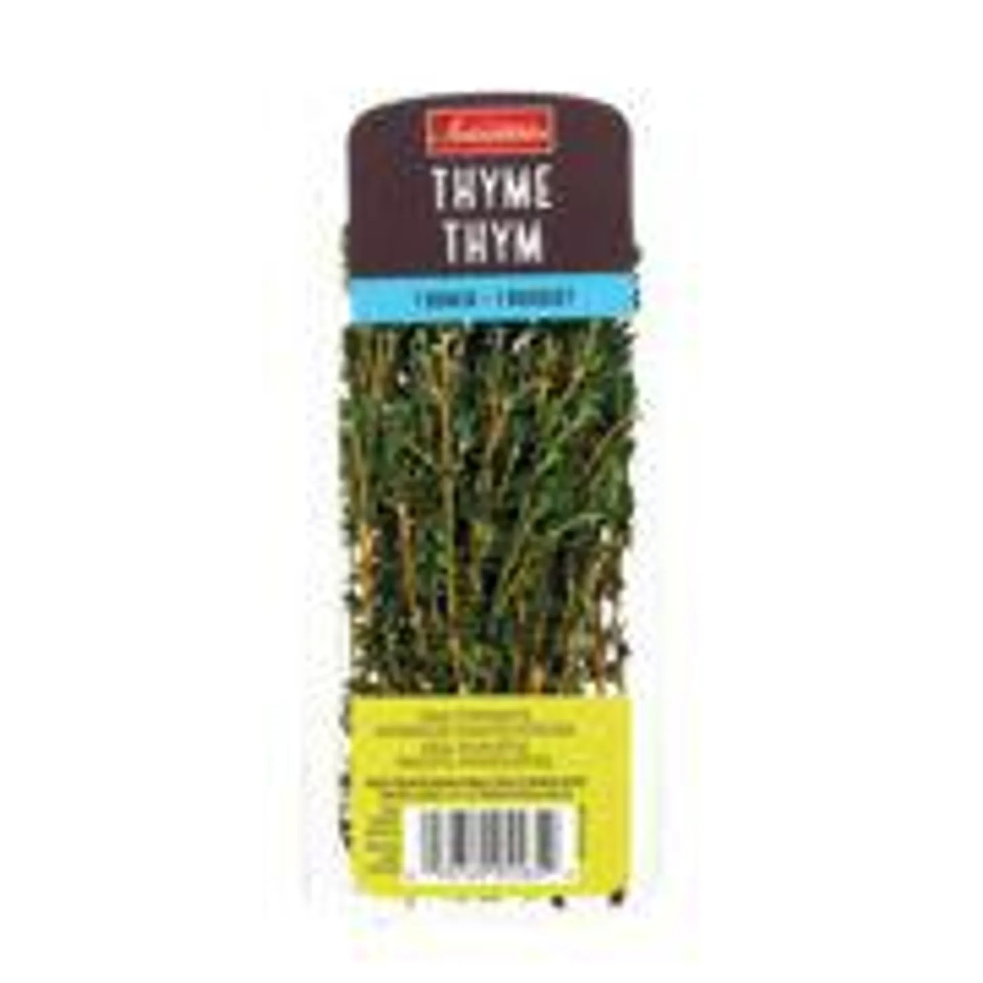 Fresh Thyme