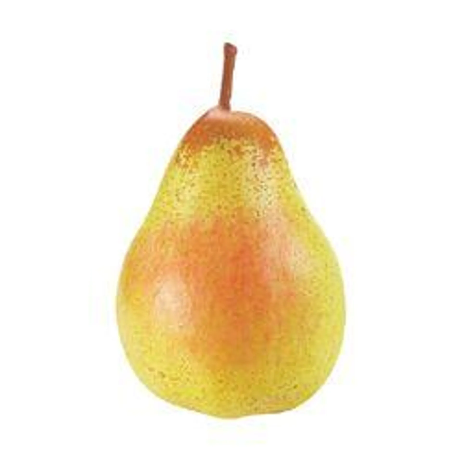 Rocha Pear