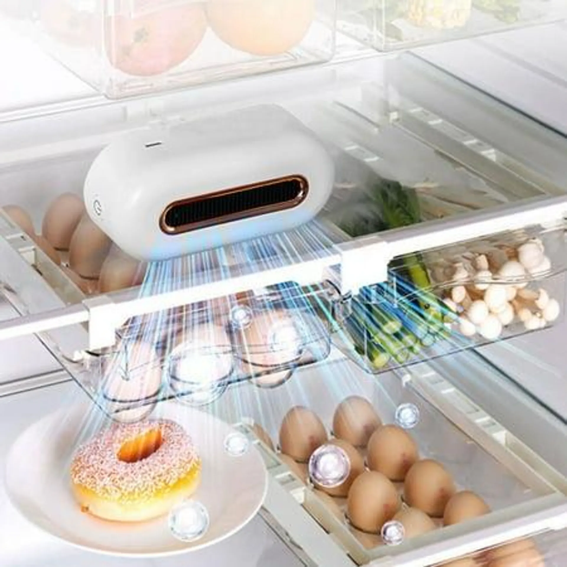 LSLJS Réfrigérateur Désodorisant Réutilisable for Atmosphere, Absorbeur d'Odeurs Portable Plus Efficace Que le Bicarbonate de Soude Sacs de Charbon and, Refrigerator Deodorizer