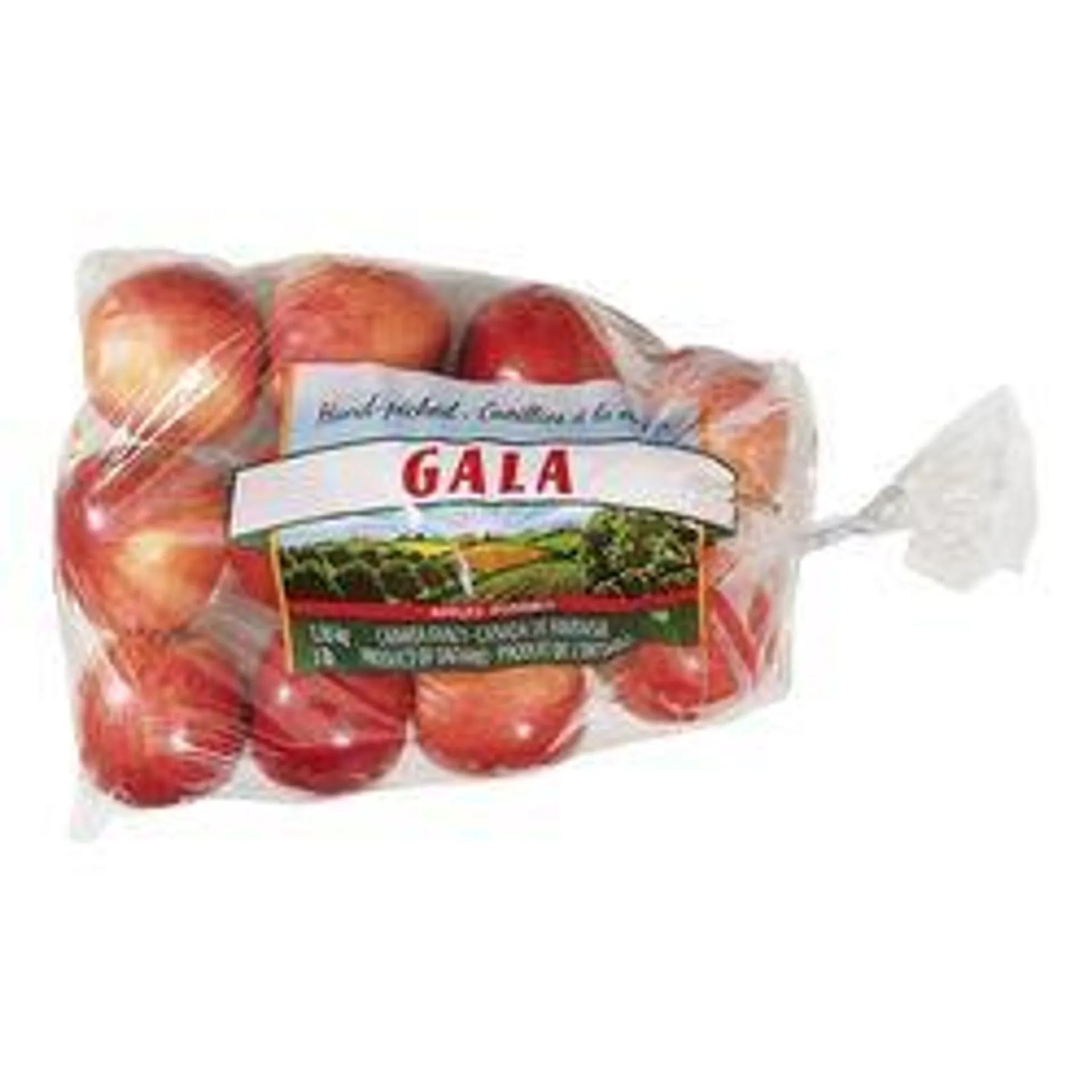 Bag of Apples, Royal Gala