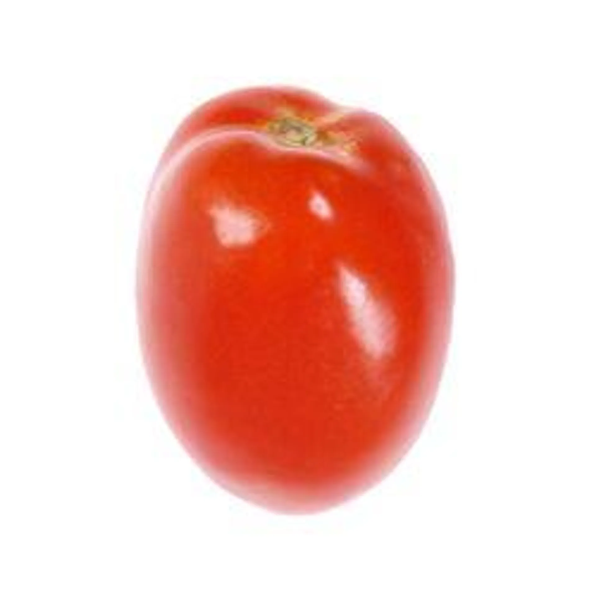 Italian Tomato