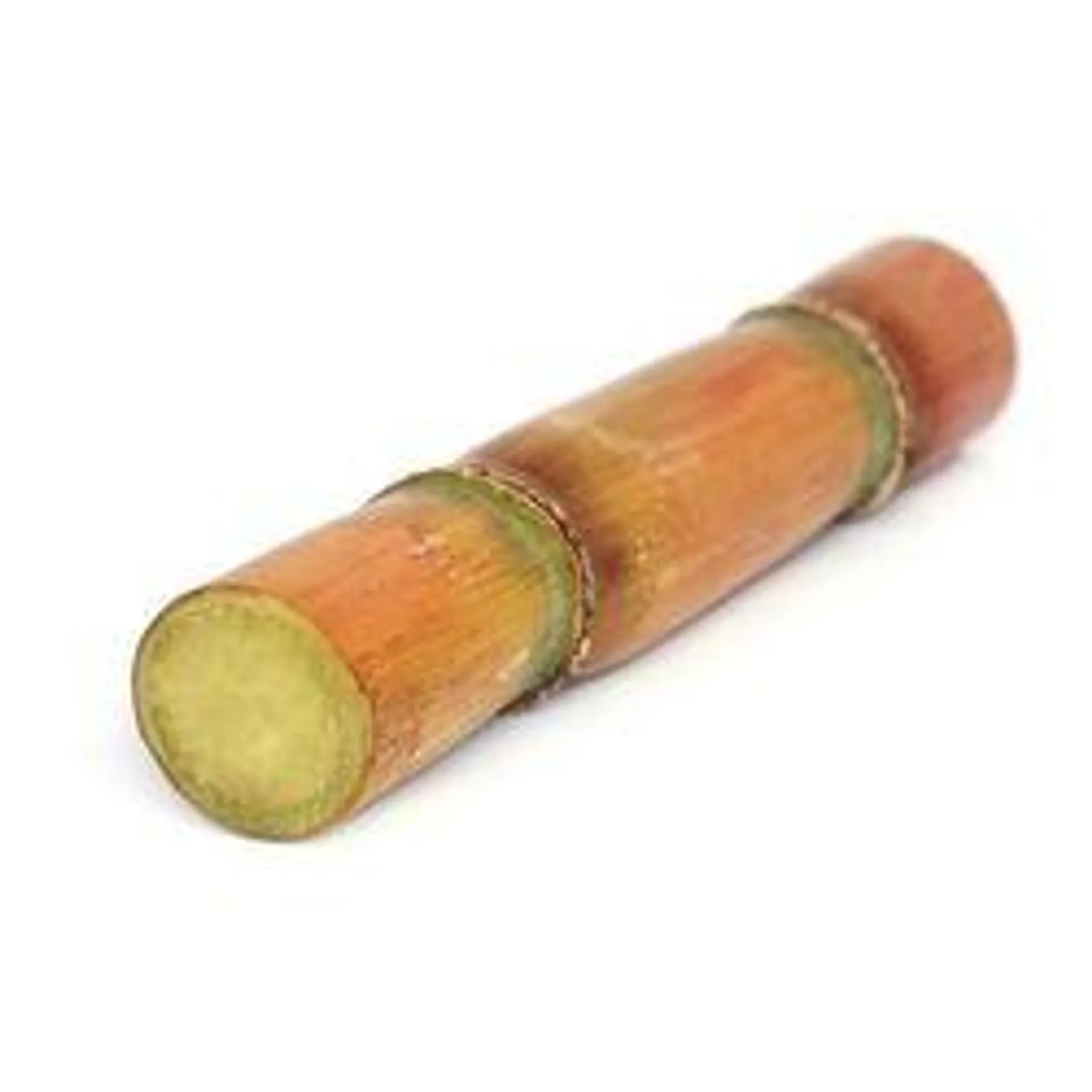 Sugar Cane