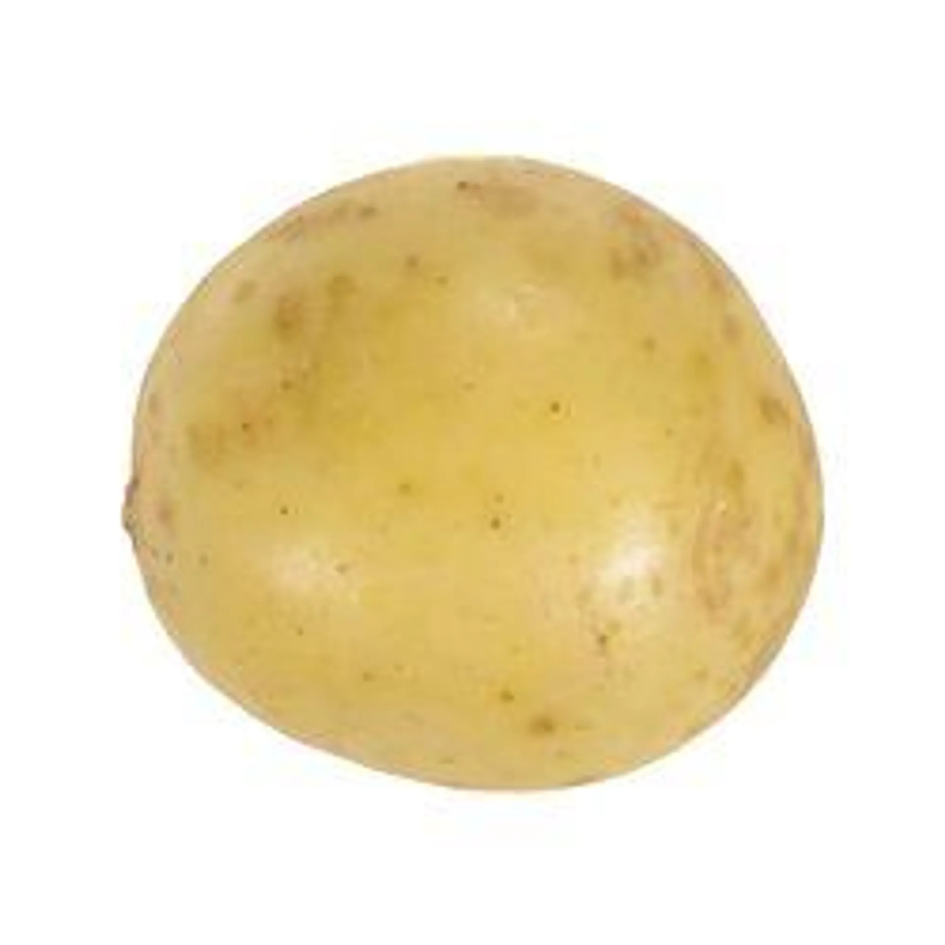 Yukon Gold Potato