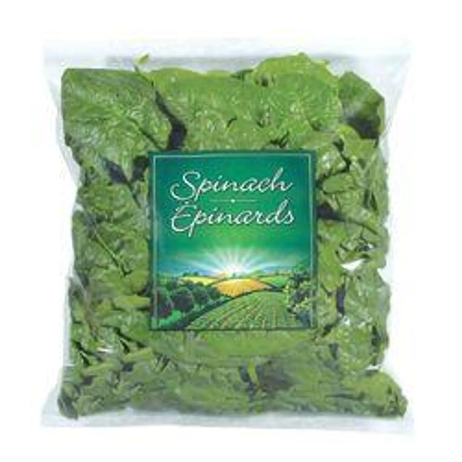 Bag of Spinach