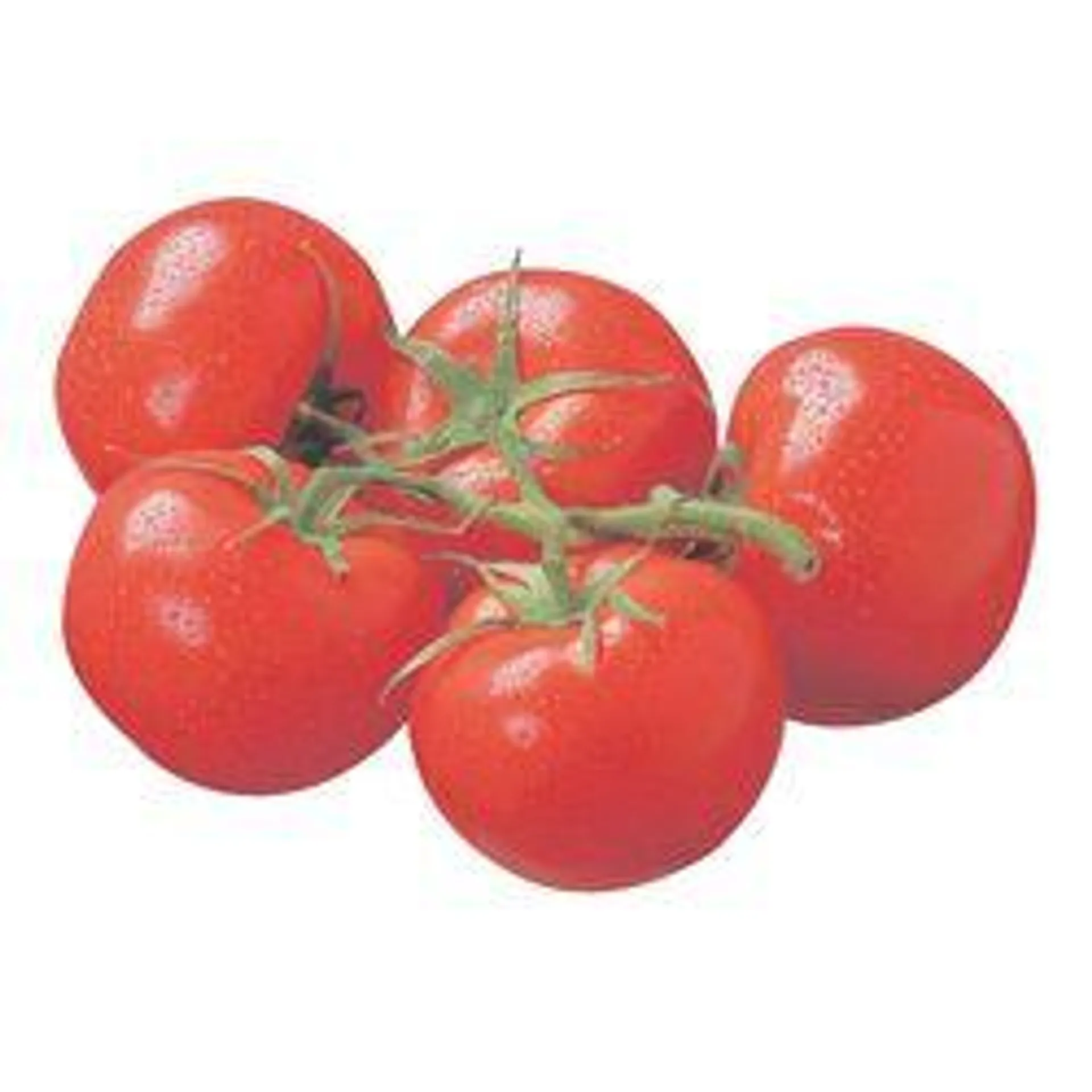 Red Cluster Tomatoes