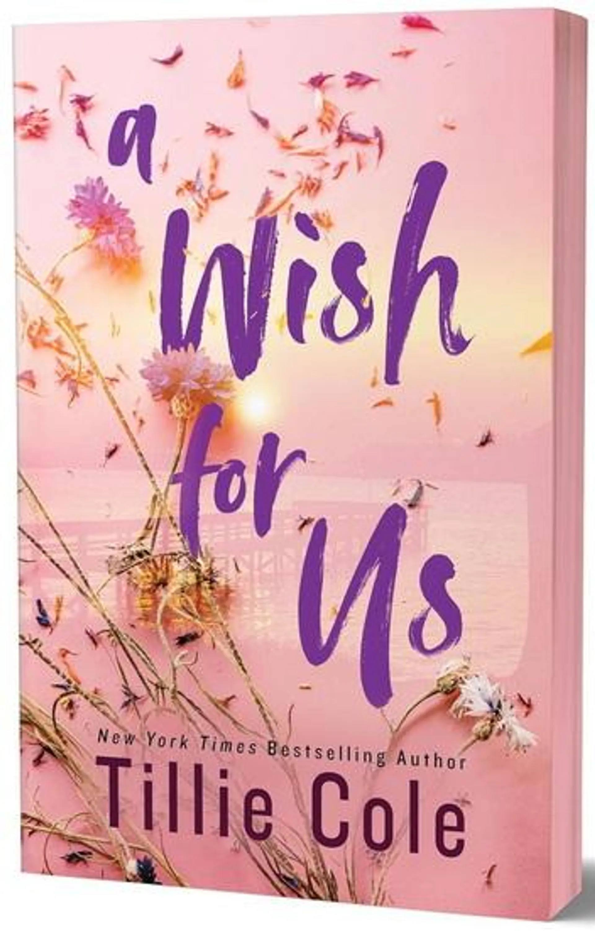 A Wish for Us Deluxe Edition