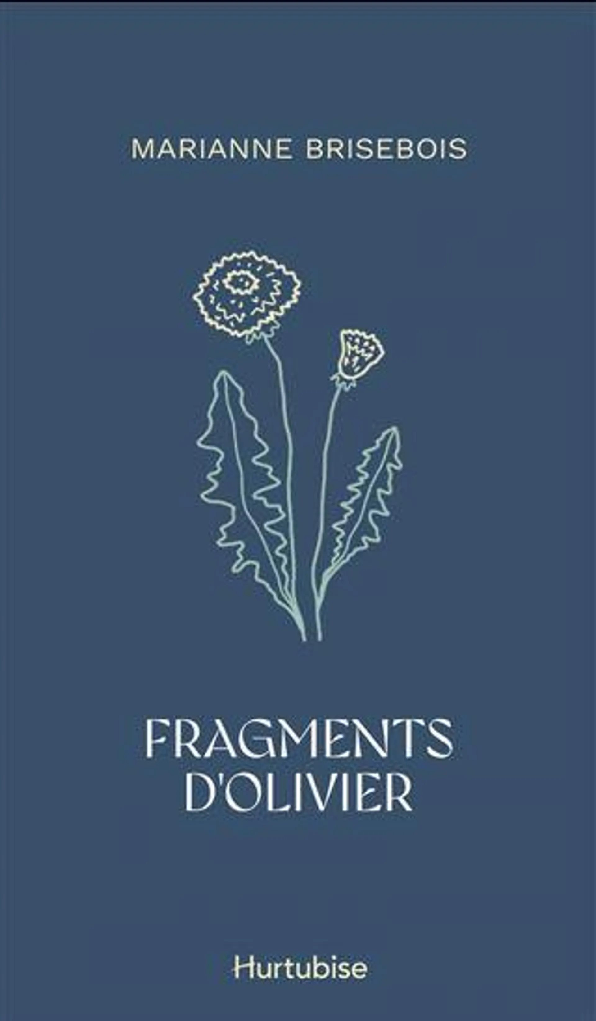 Fragments d'Olivier