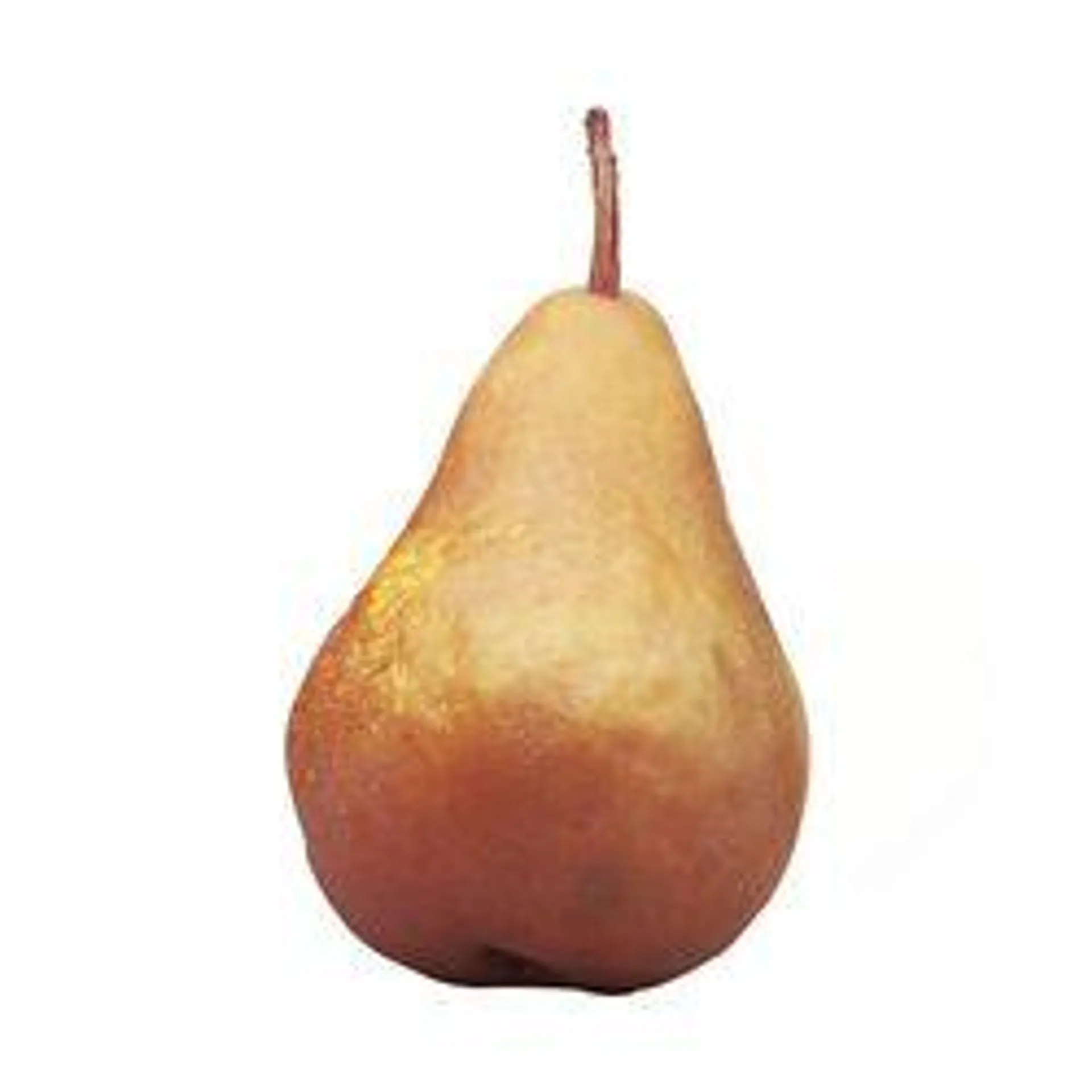 Bosc Pear