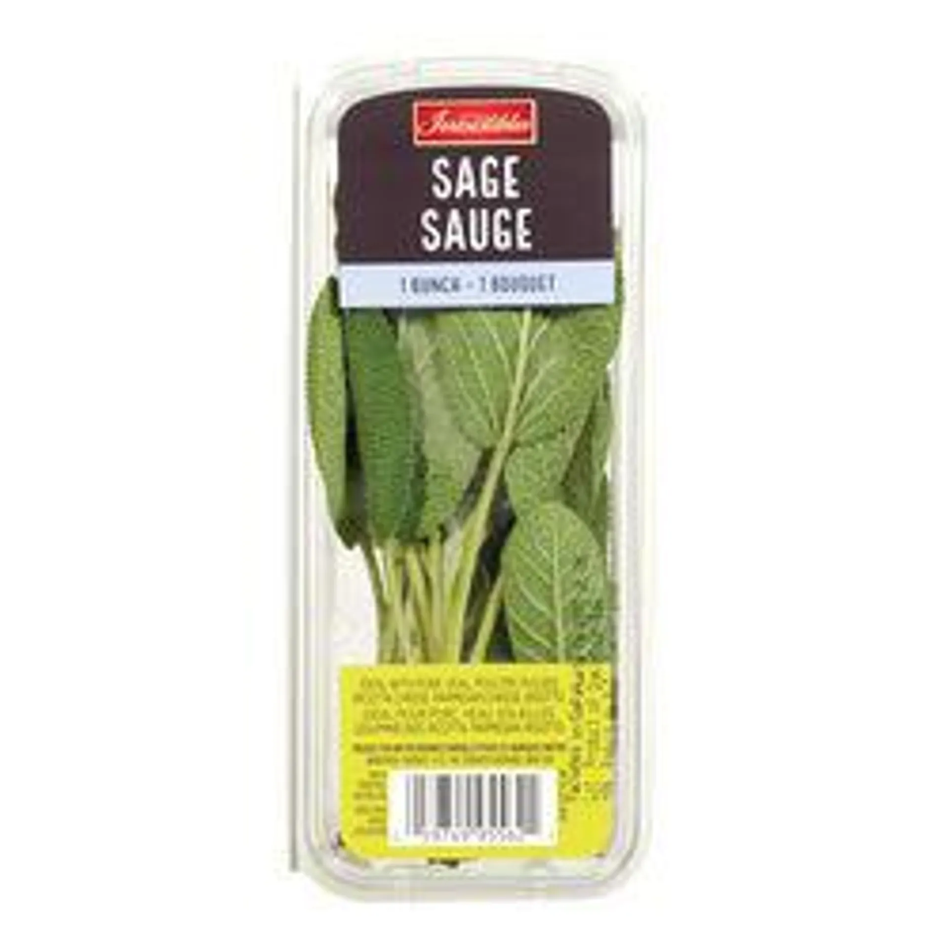 Fresh Sage