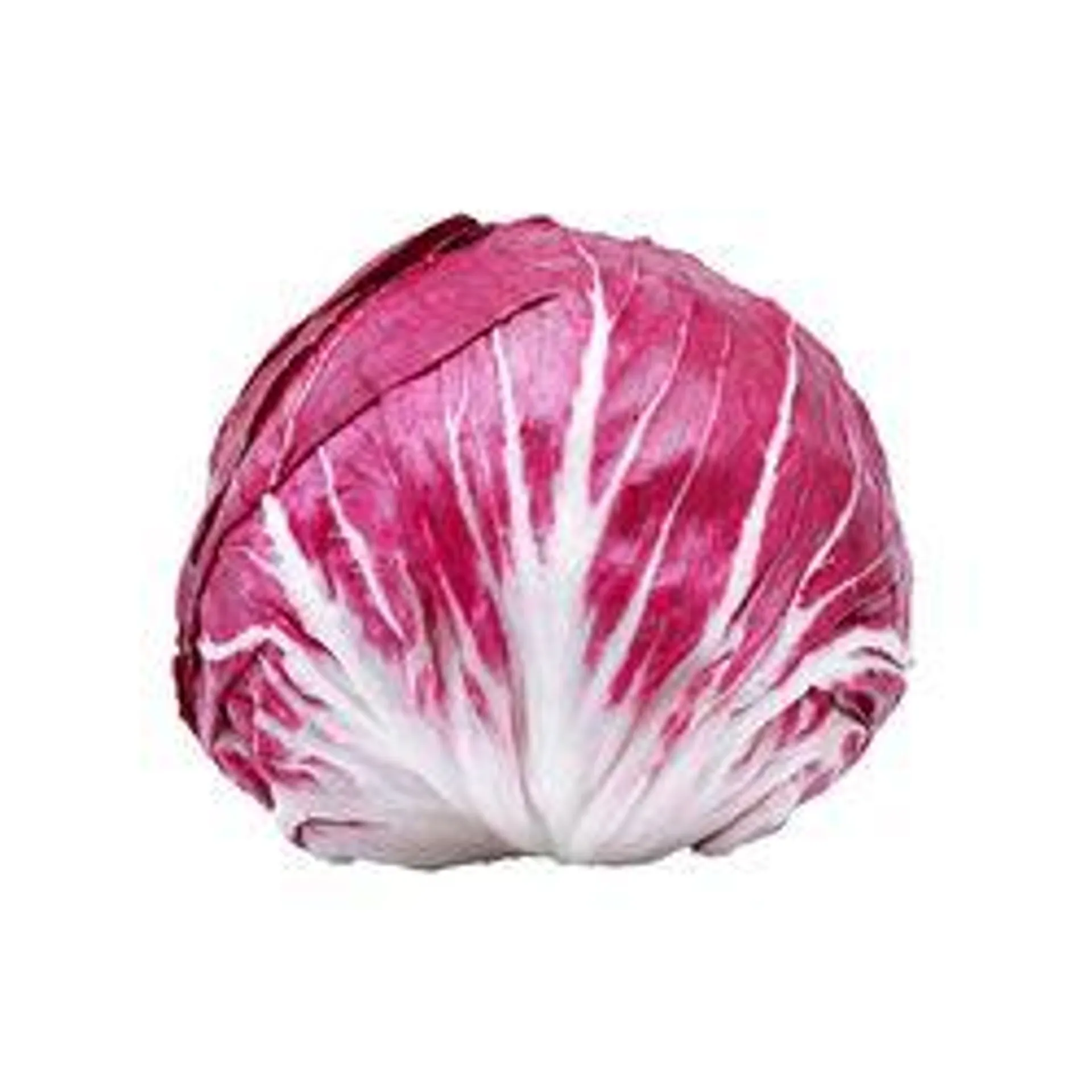 Radicchio