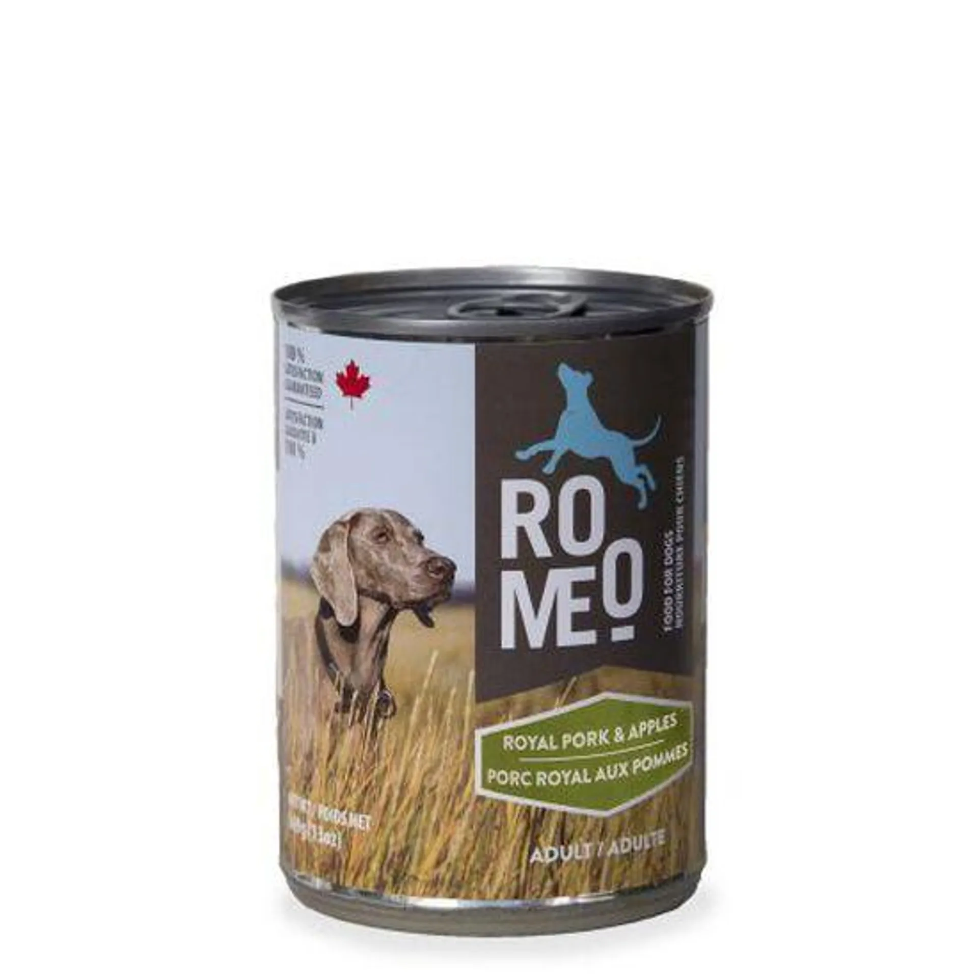 Nourriture humide au porc royal aux pommes pour chien