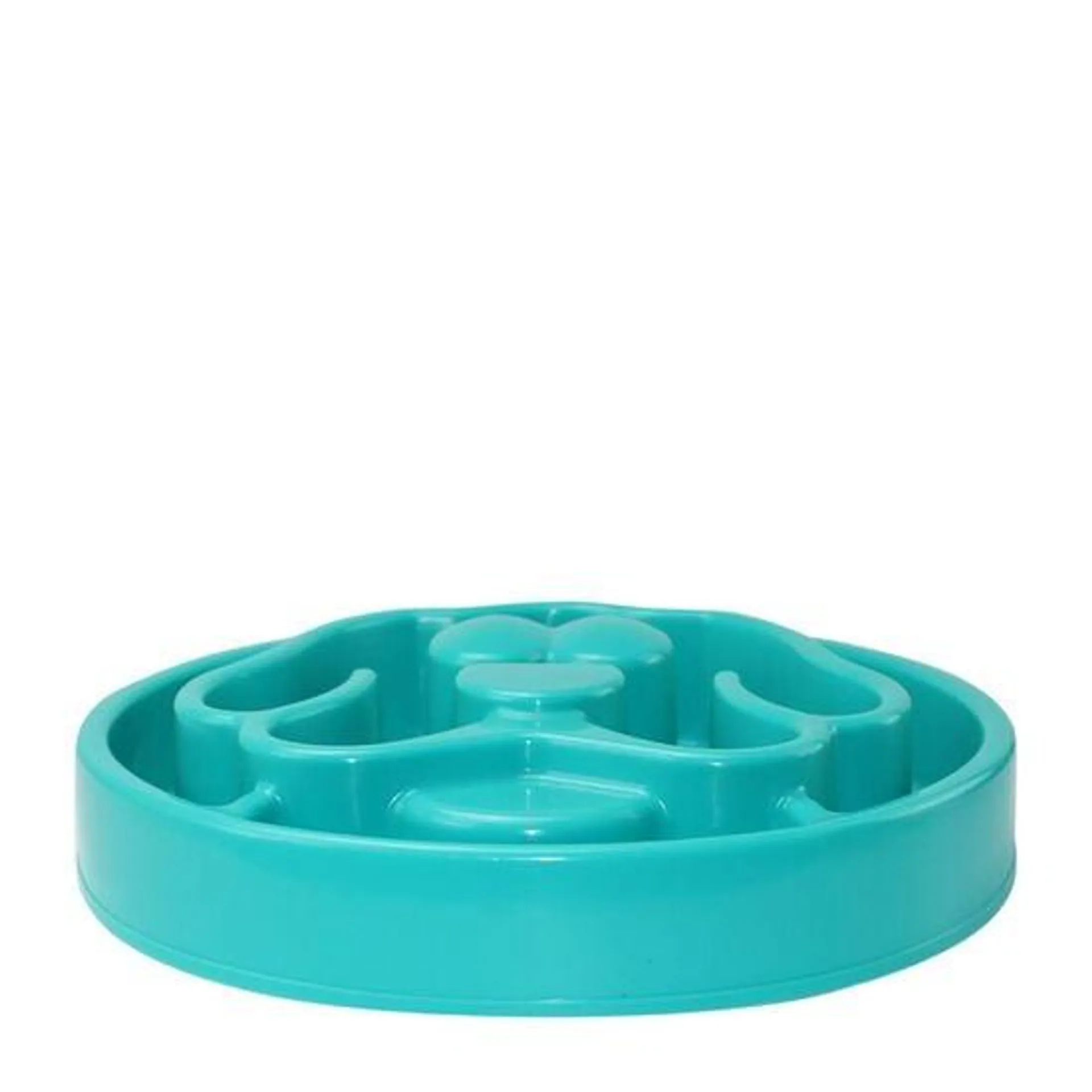 Bol ralentisseur pour chien à haut rebords, turquoise