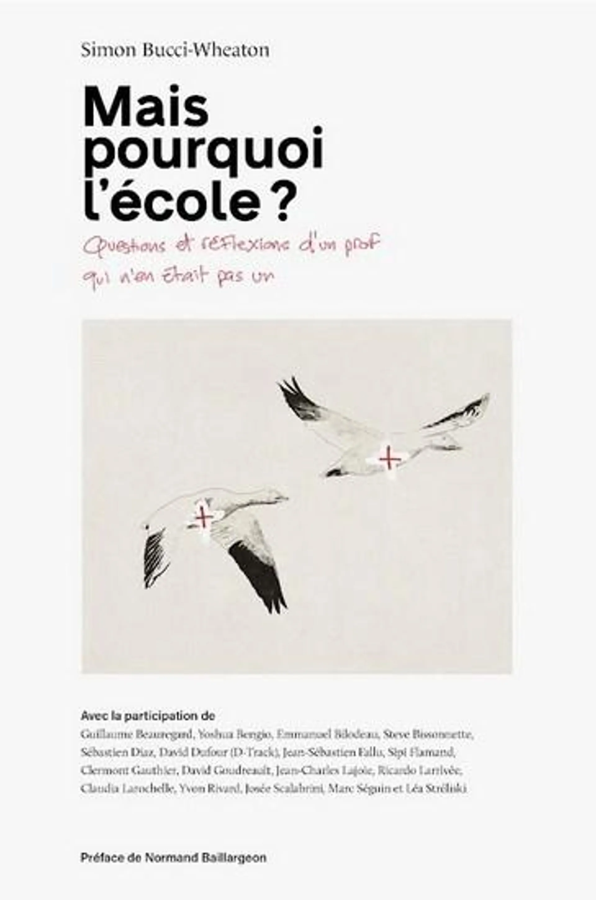 Mais pourquoi l'école : questions et réflexions d’un prof qui n’en était pas un ?