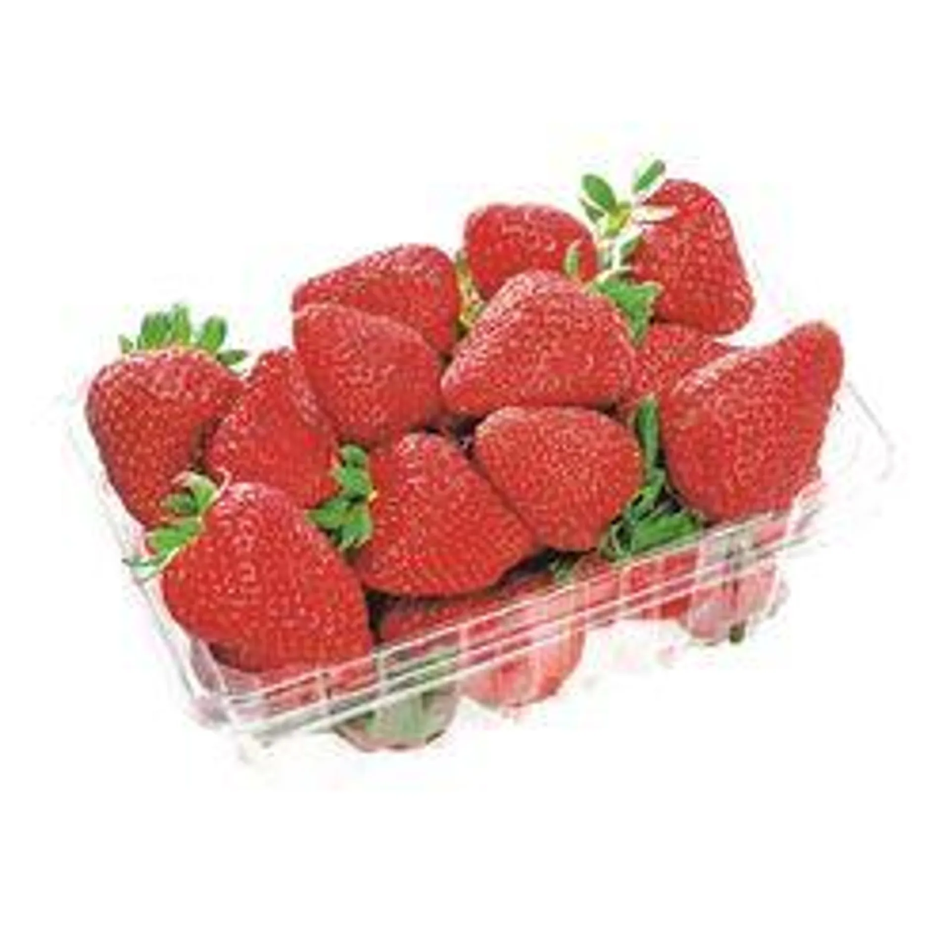 Organic Strawberries