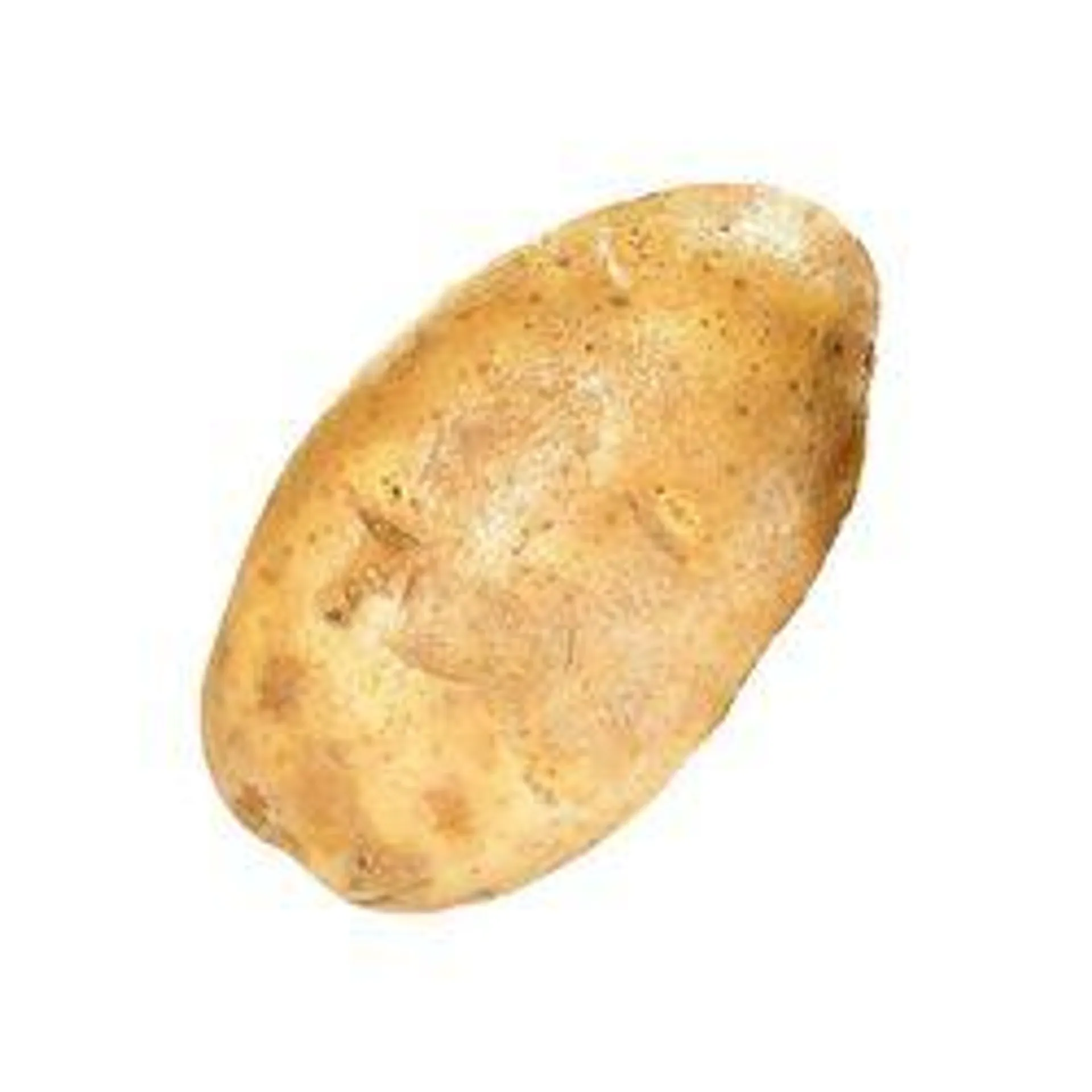 Russet Potato