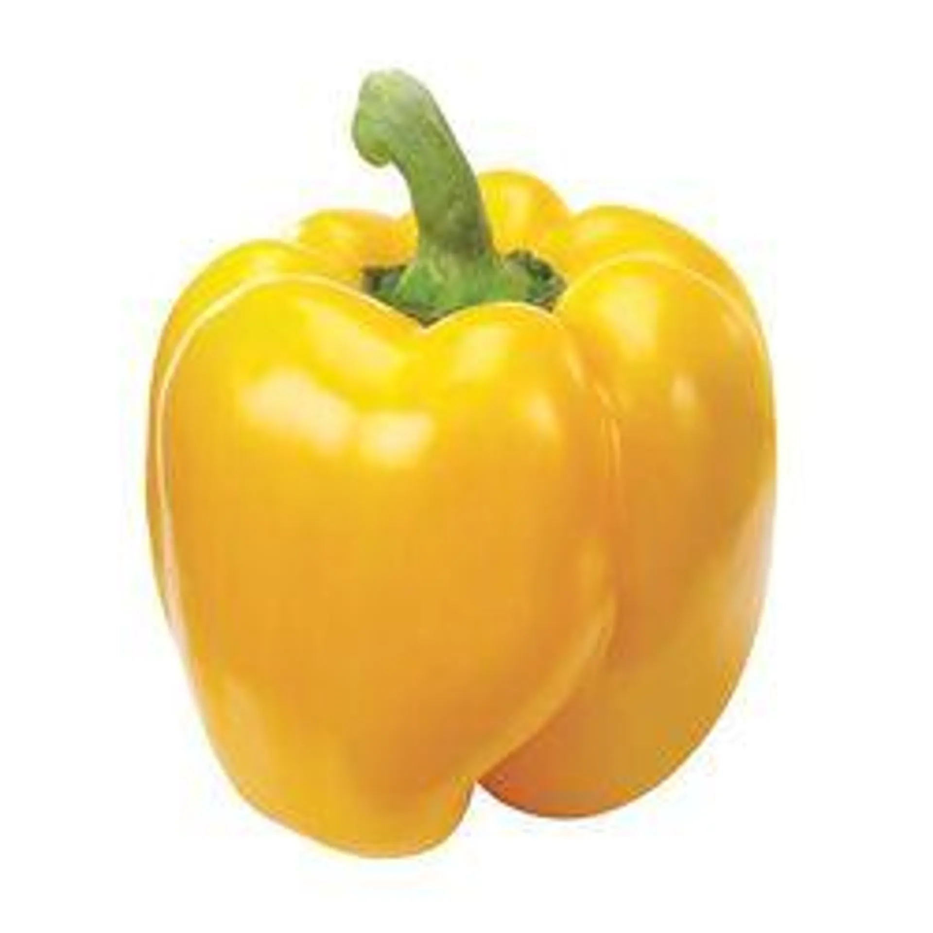 Hothouse Yellow Pepper