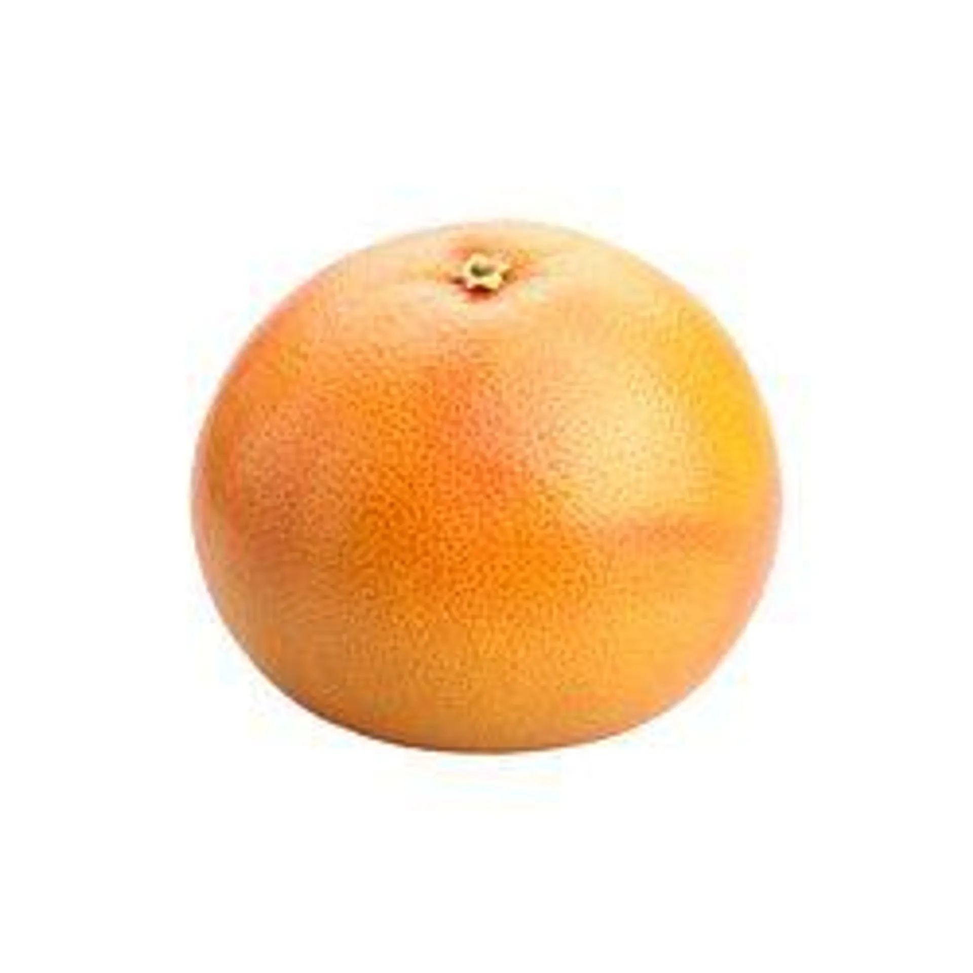 Small Red Grapefruit