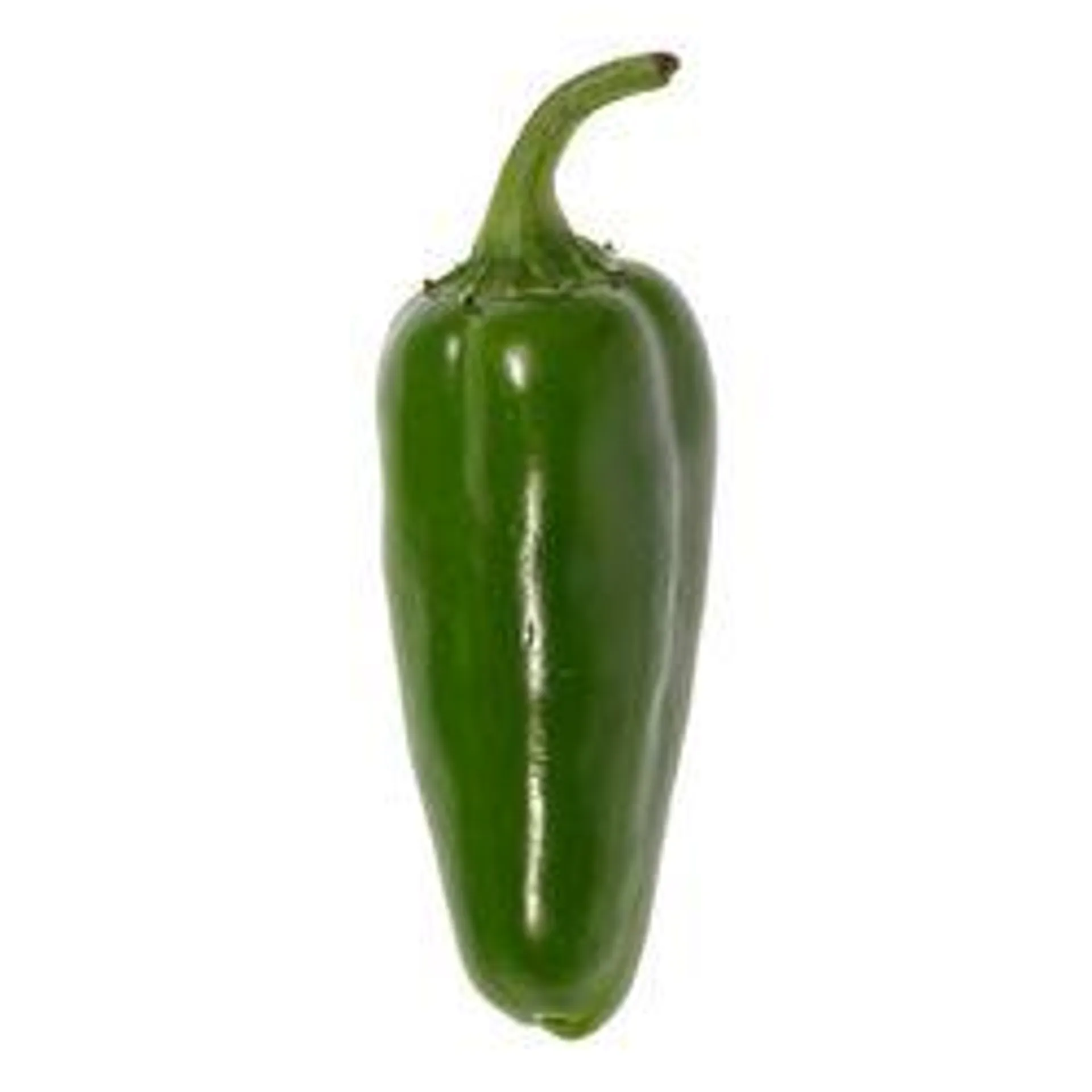 Jalapeño Pepper