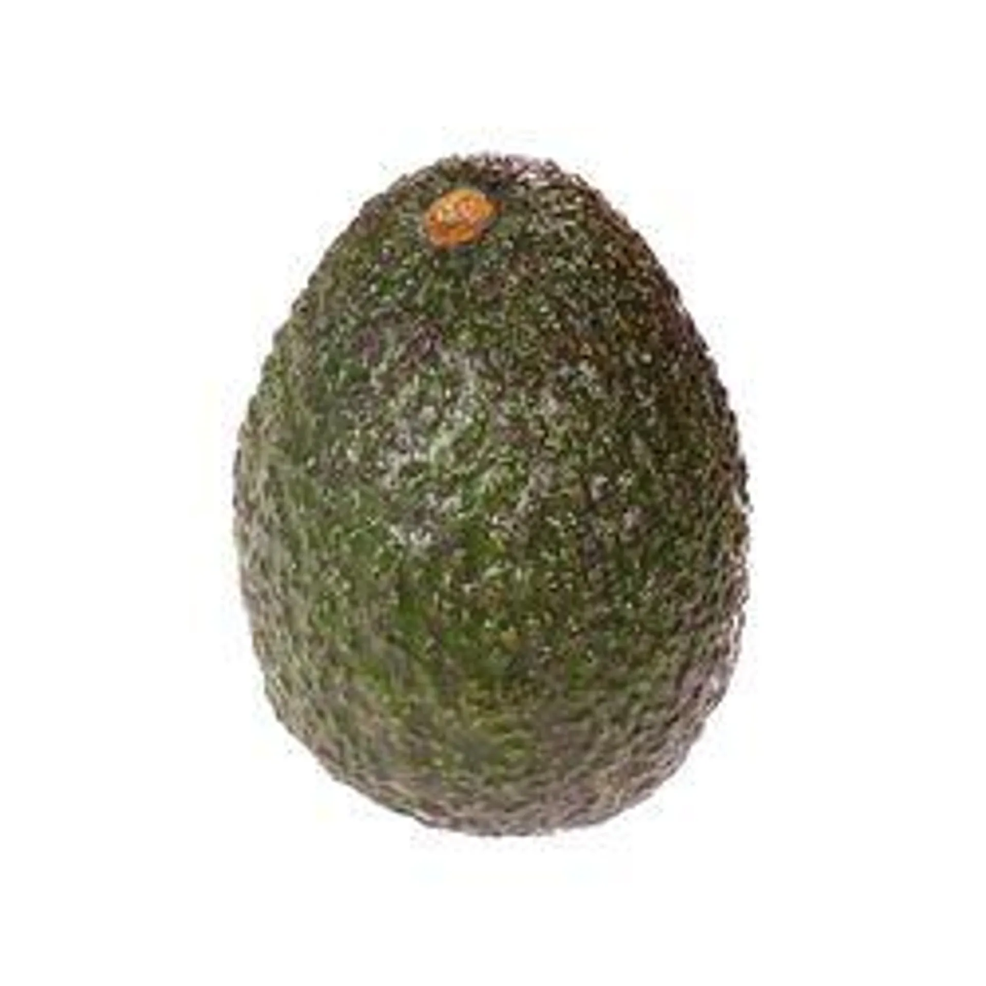 Avocado Sold individually