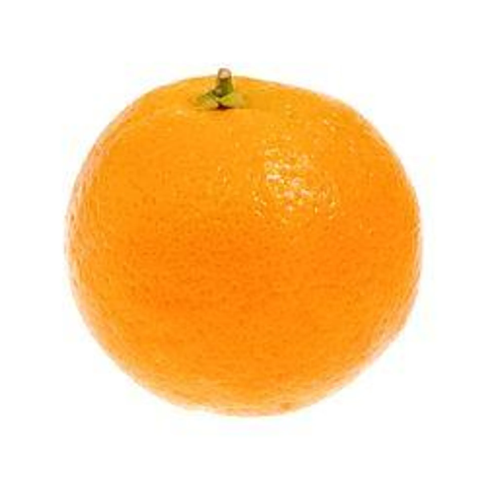 Navel Orange