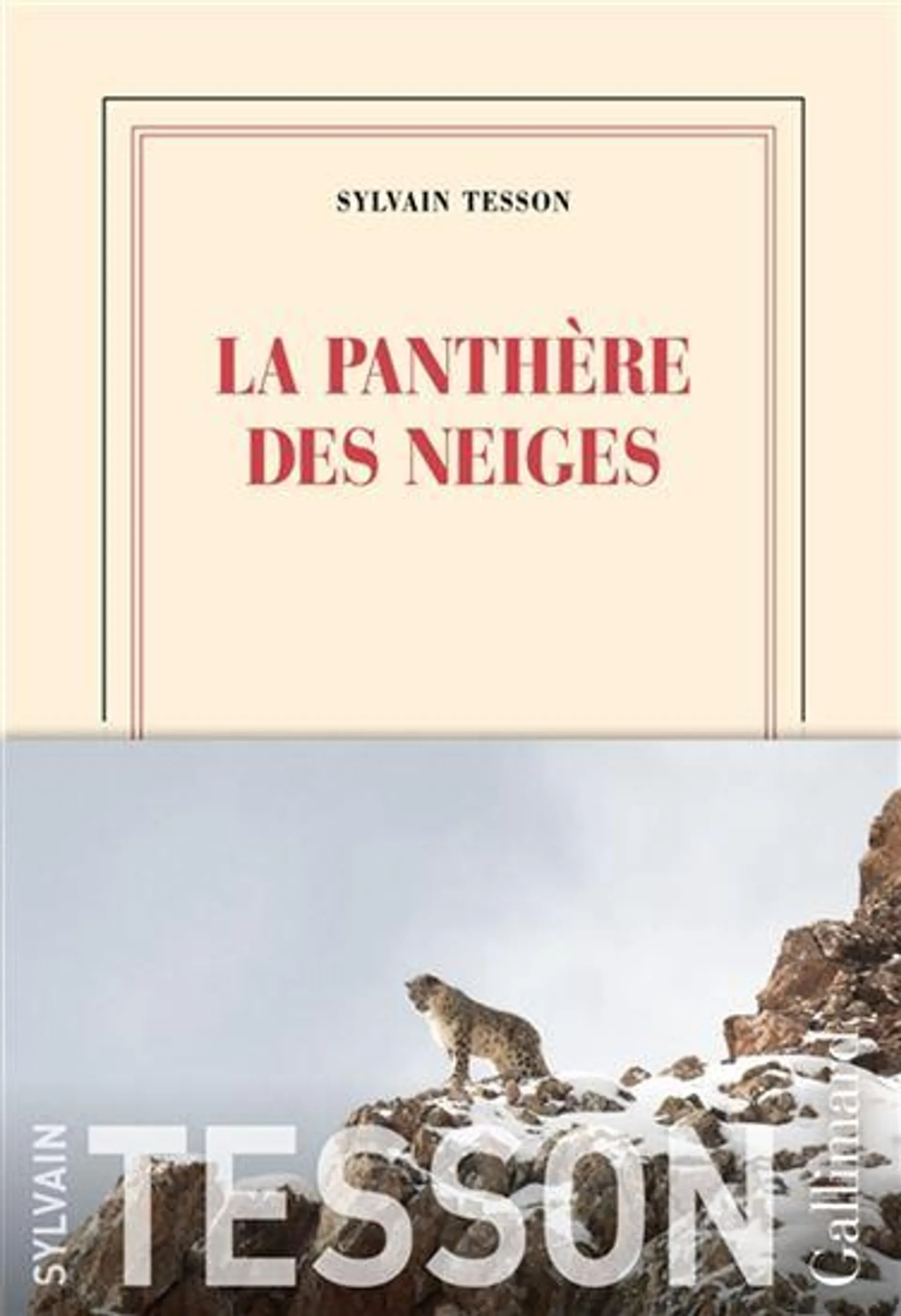 La Panthère des neiges