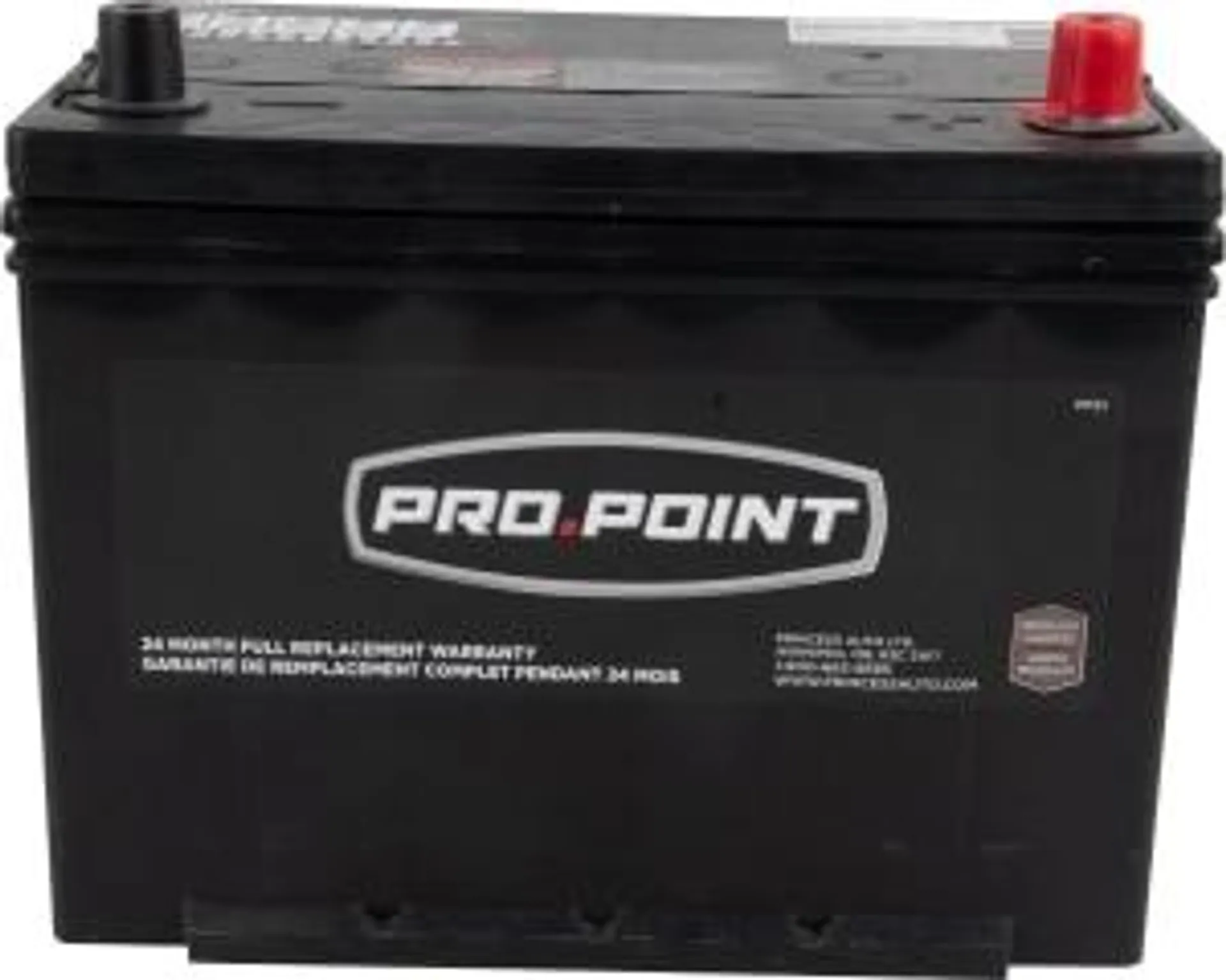 124R Automotive/SUV/Light Truck Starting Battery