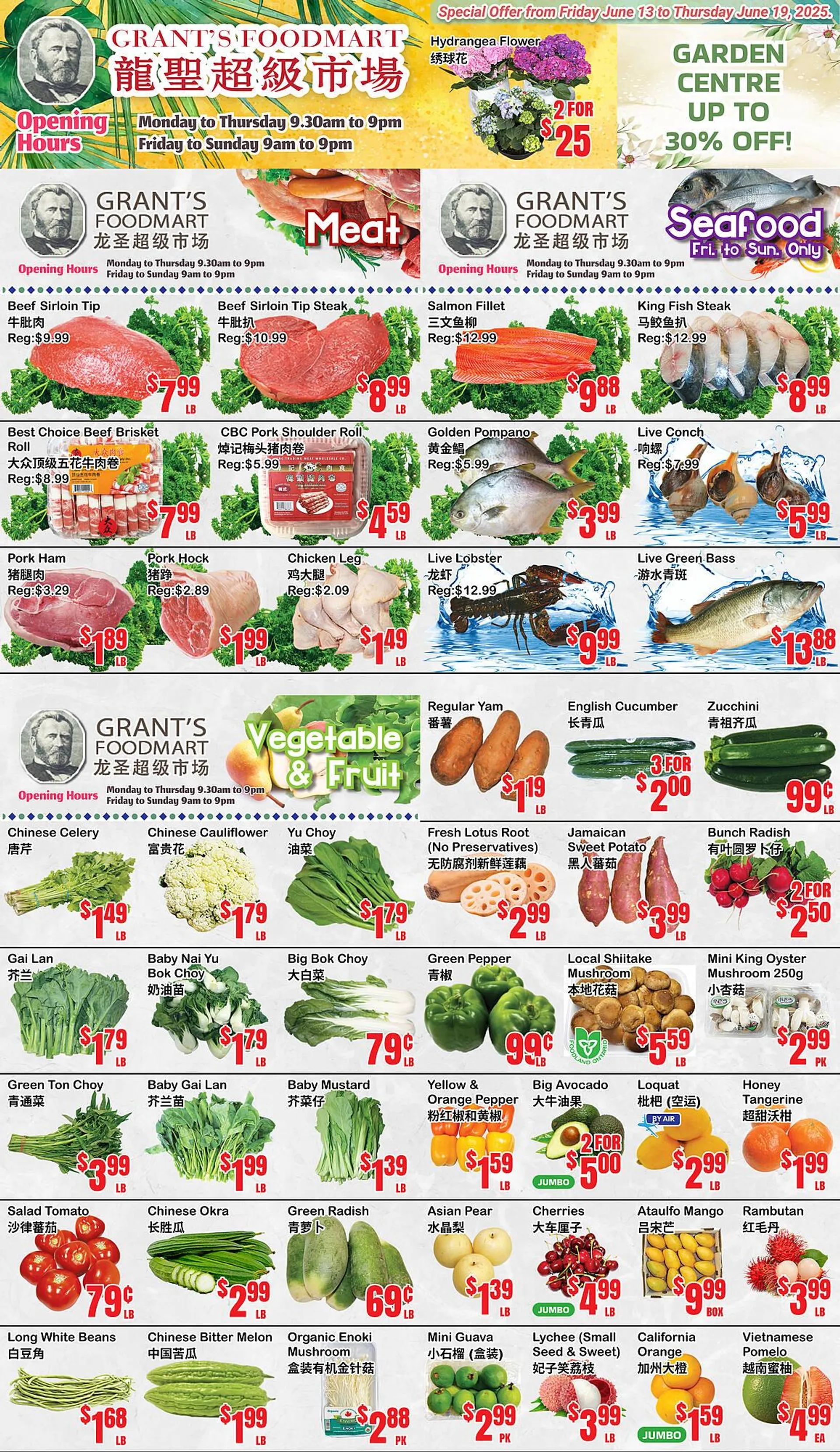 Grant's Foodmart flyer from June 13 to June 19 2025 - flyer page 1
