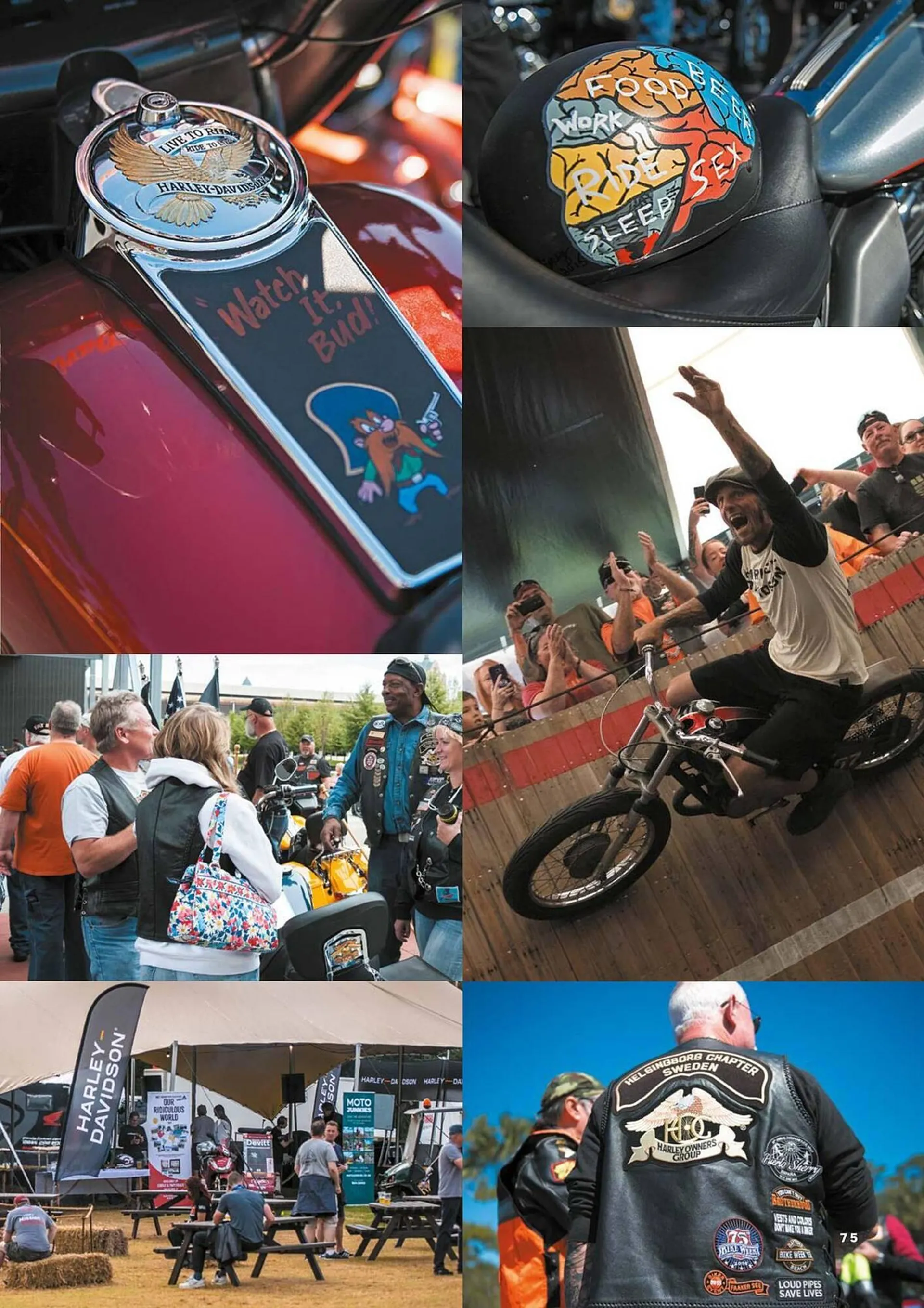 Harley Davidson flyer from February 5 to February 5 2025 - flyer page 75