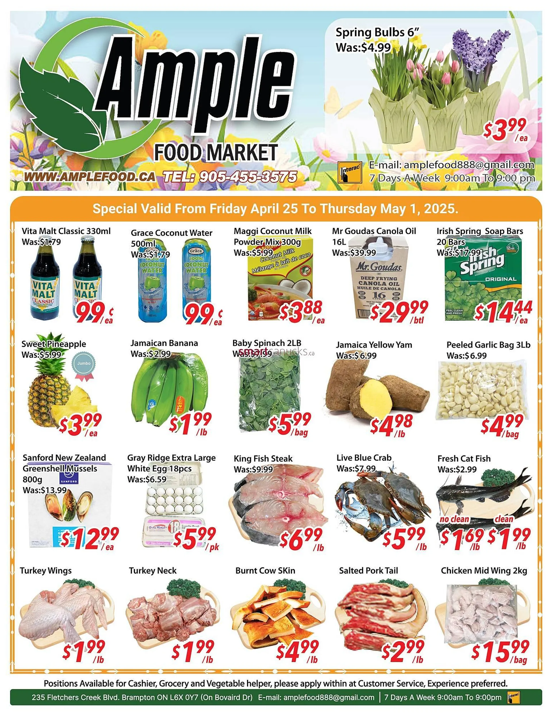 Ample Food Market flyer - 1