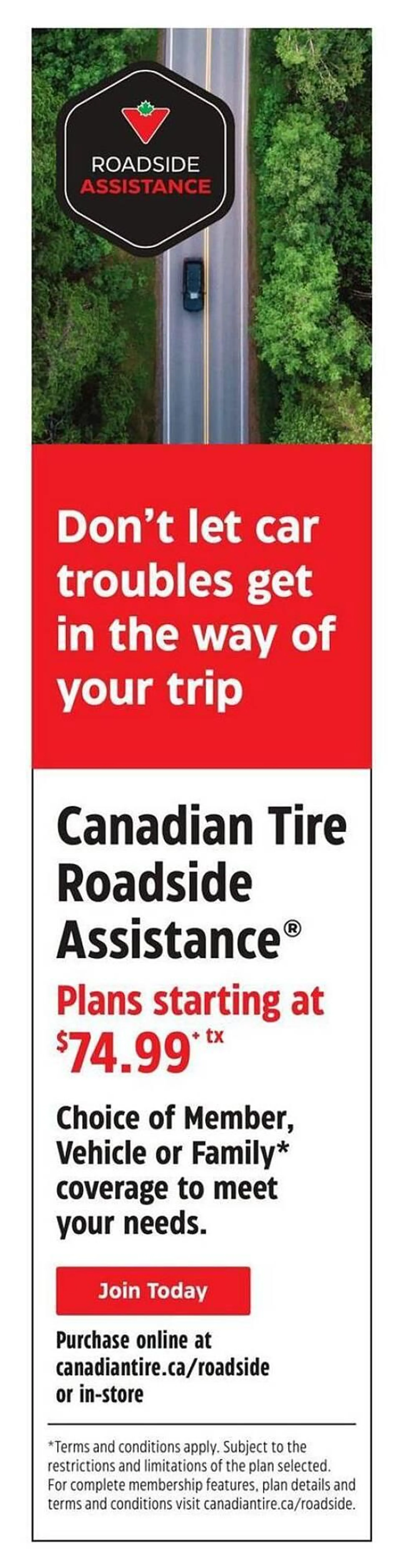 Canadian Tire flyer - 37