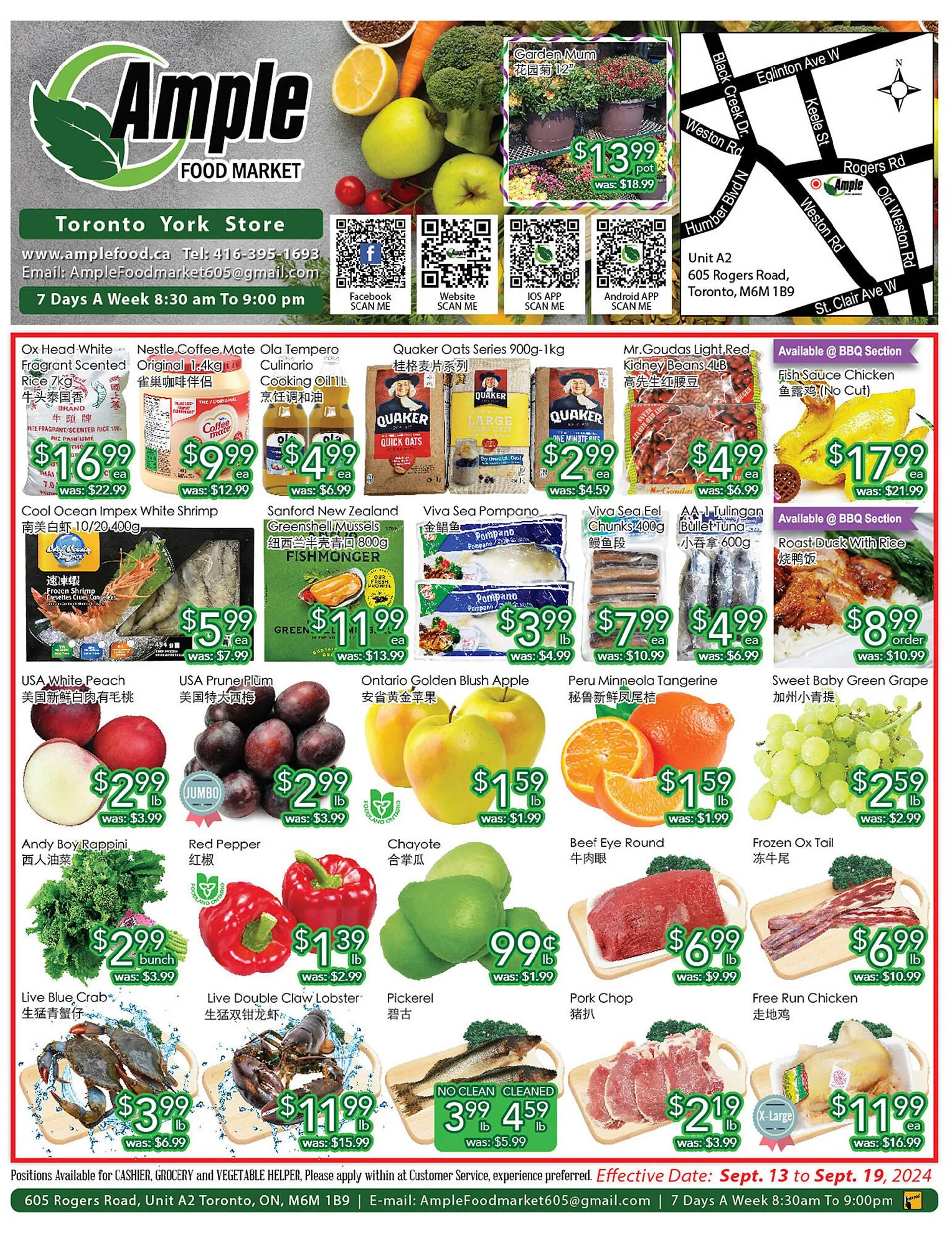 Ample Food Market flyer - 1