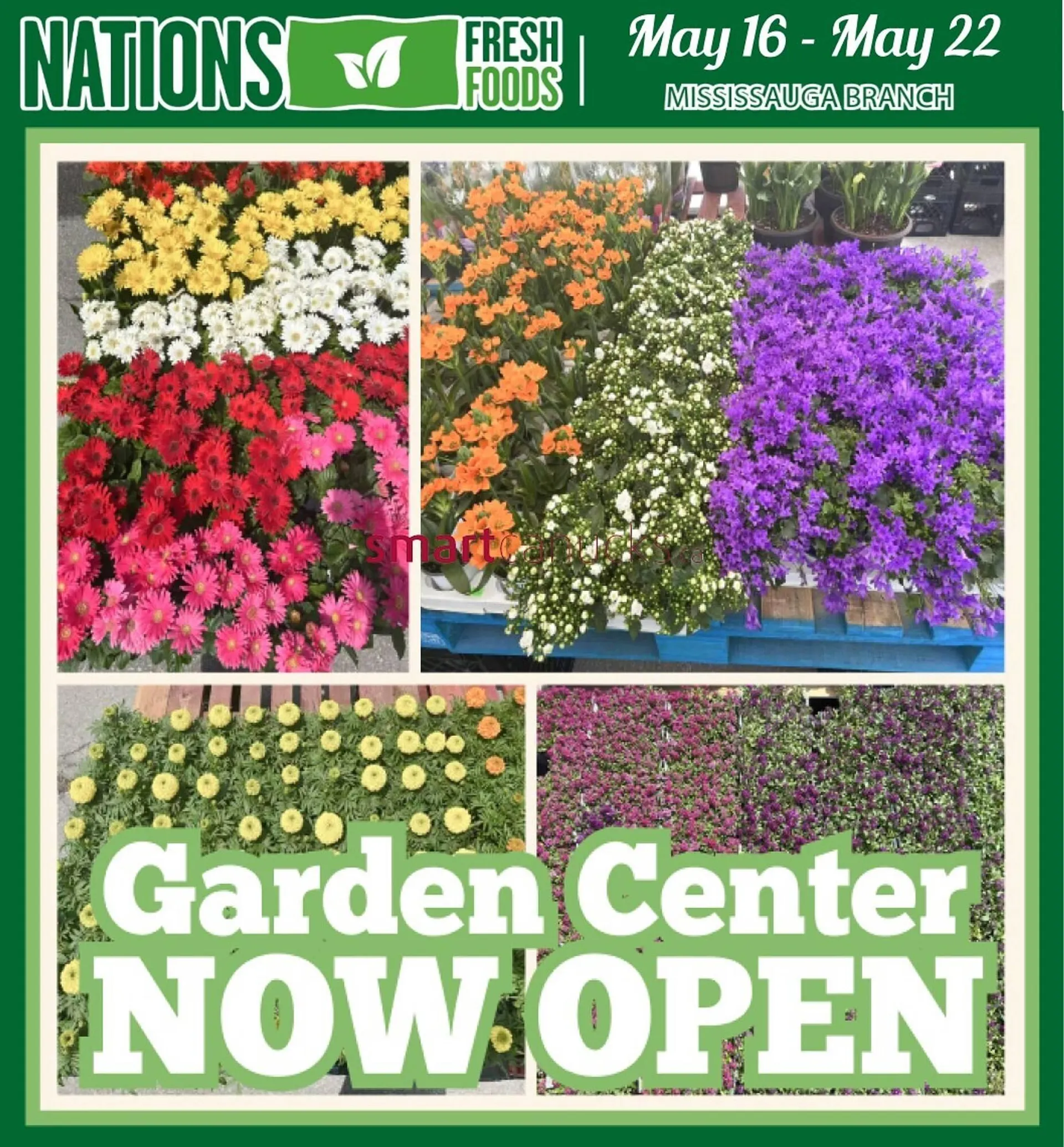 Nations Fresh Foods flyer - 1