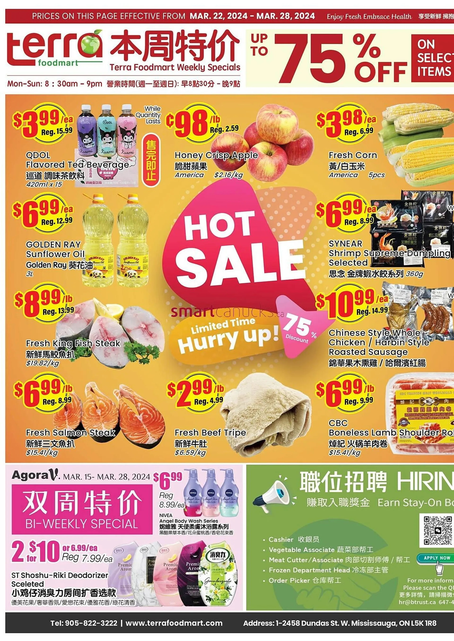 Terra Foodmart flyer from March 22 to March 28 2024 - flyer page 1