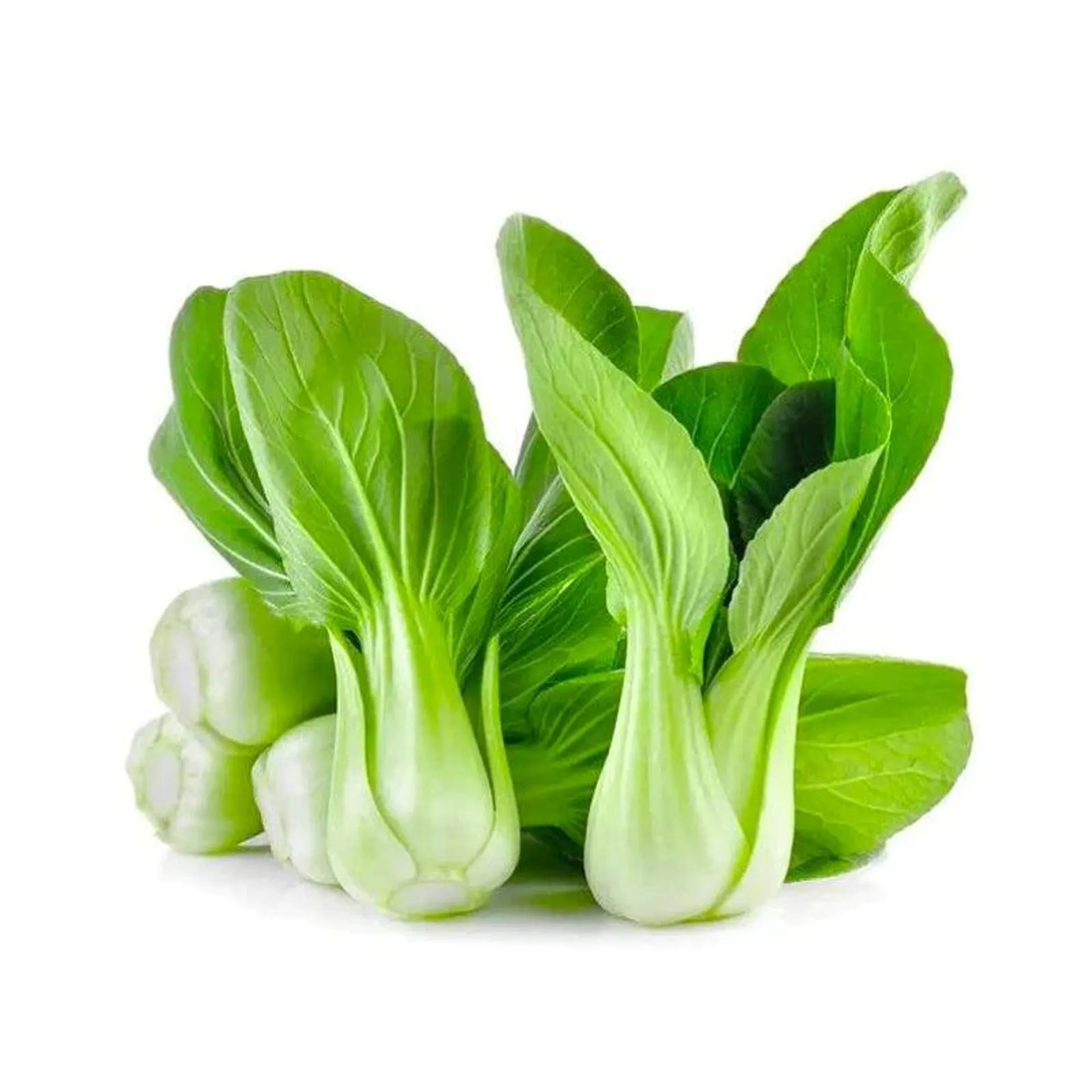 Shang Hai Bok Choy Miu 1LB