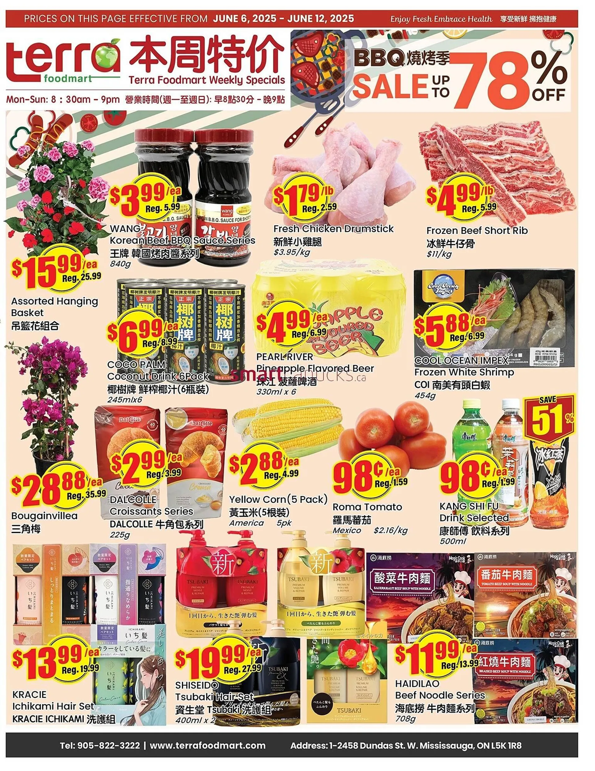 Terra Foodmart flyer from June 6 to June 12 2025 - flyer page 1