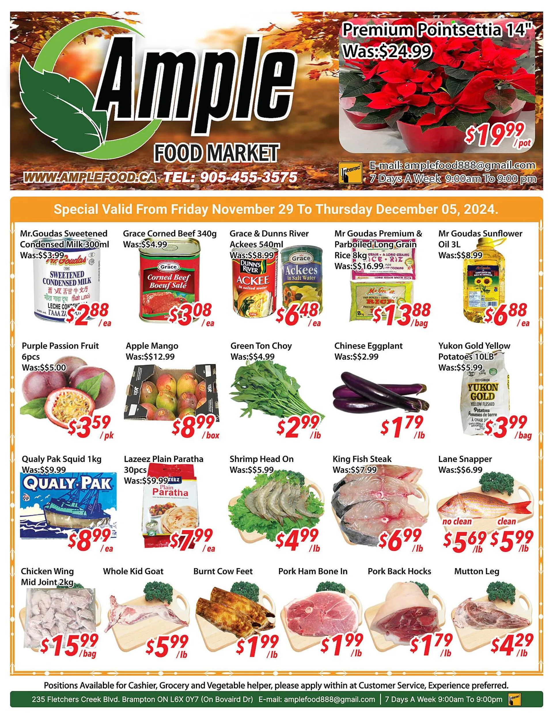 Ample Food Market flyer - 1