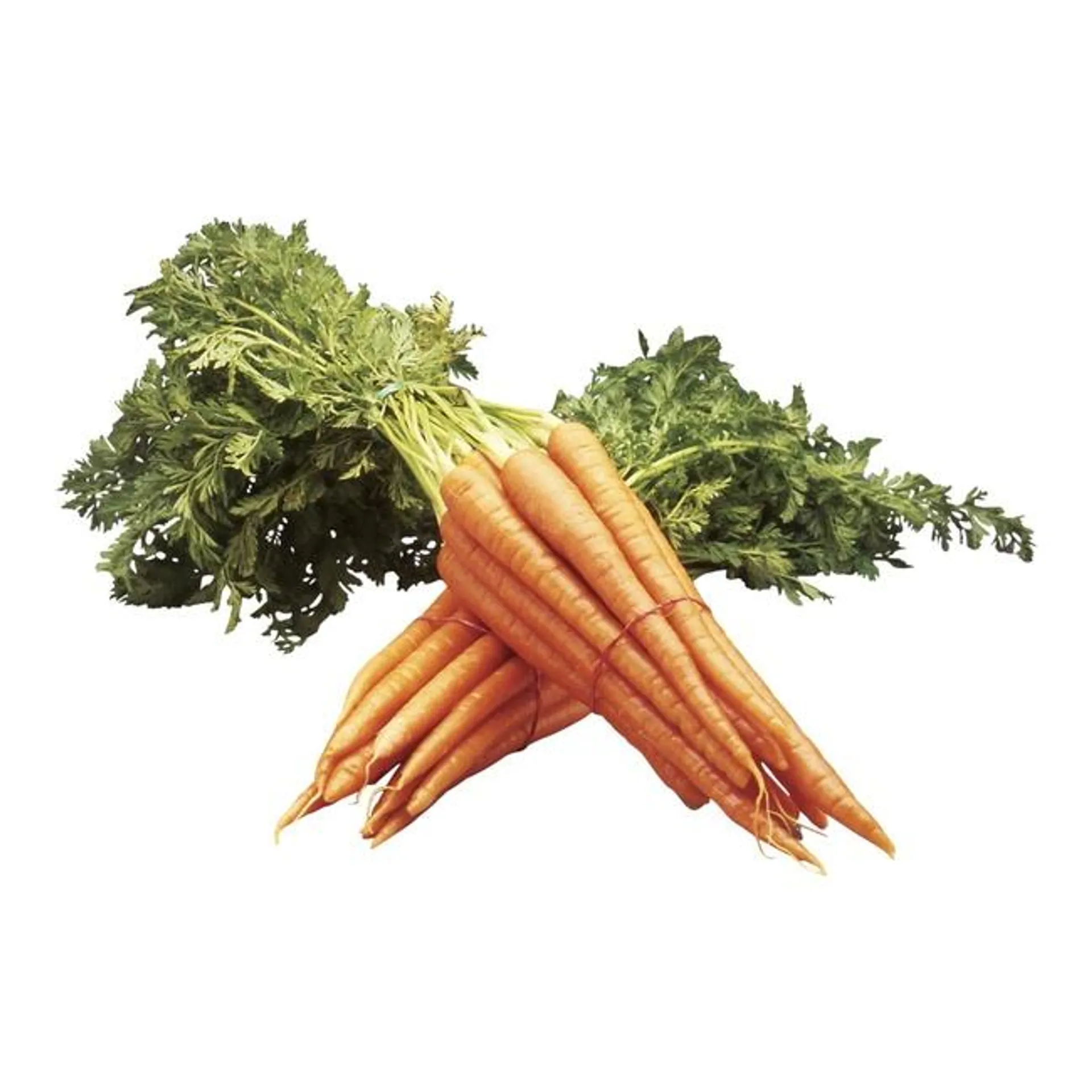 Bunched Carrots