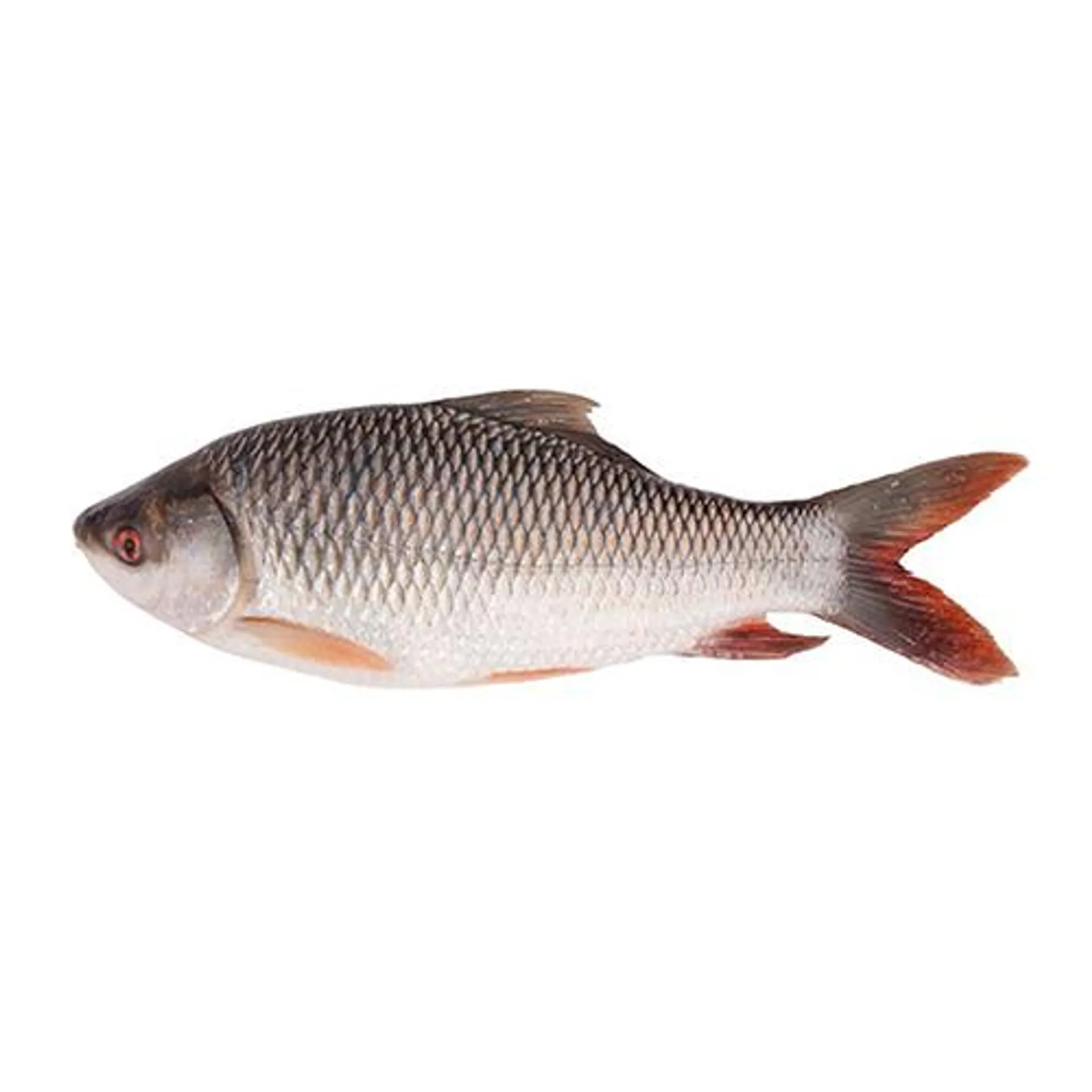 Rohu Fish 3kg